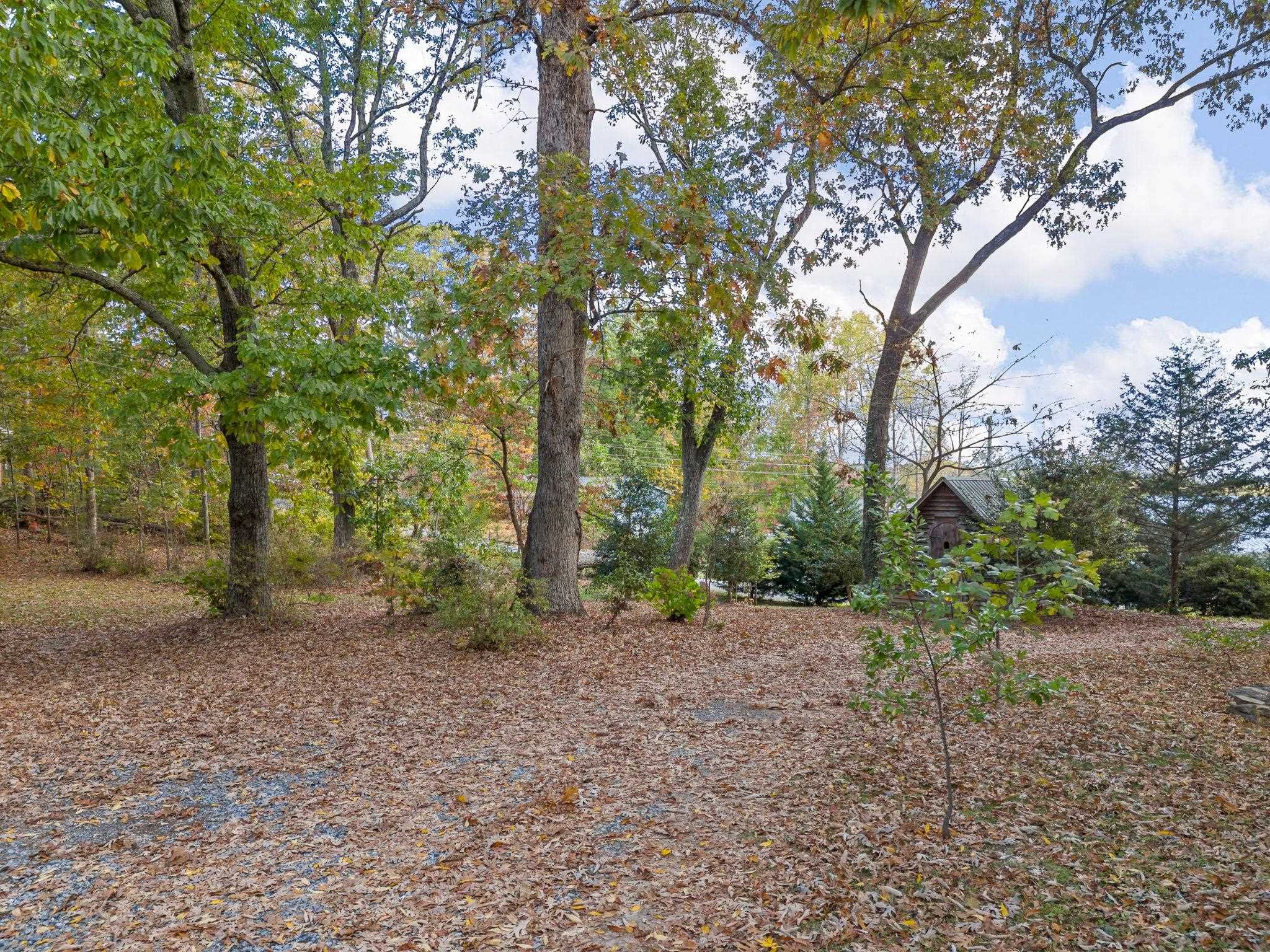 515 Forest Avenue, Landrum, South Carolina image 38