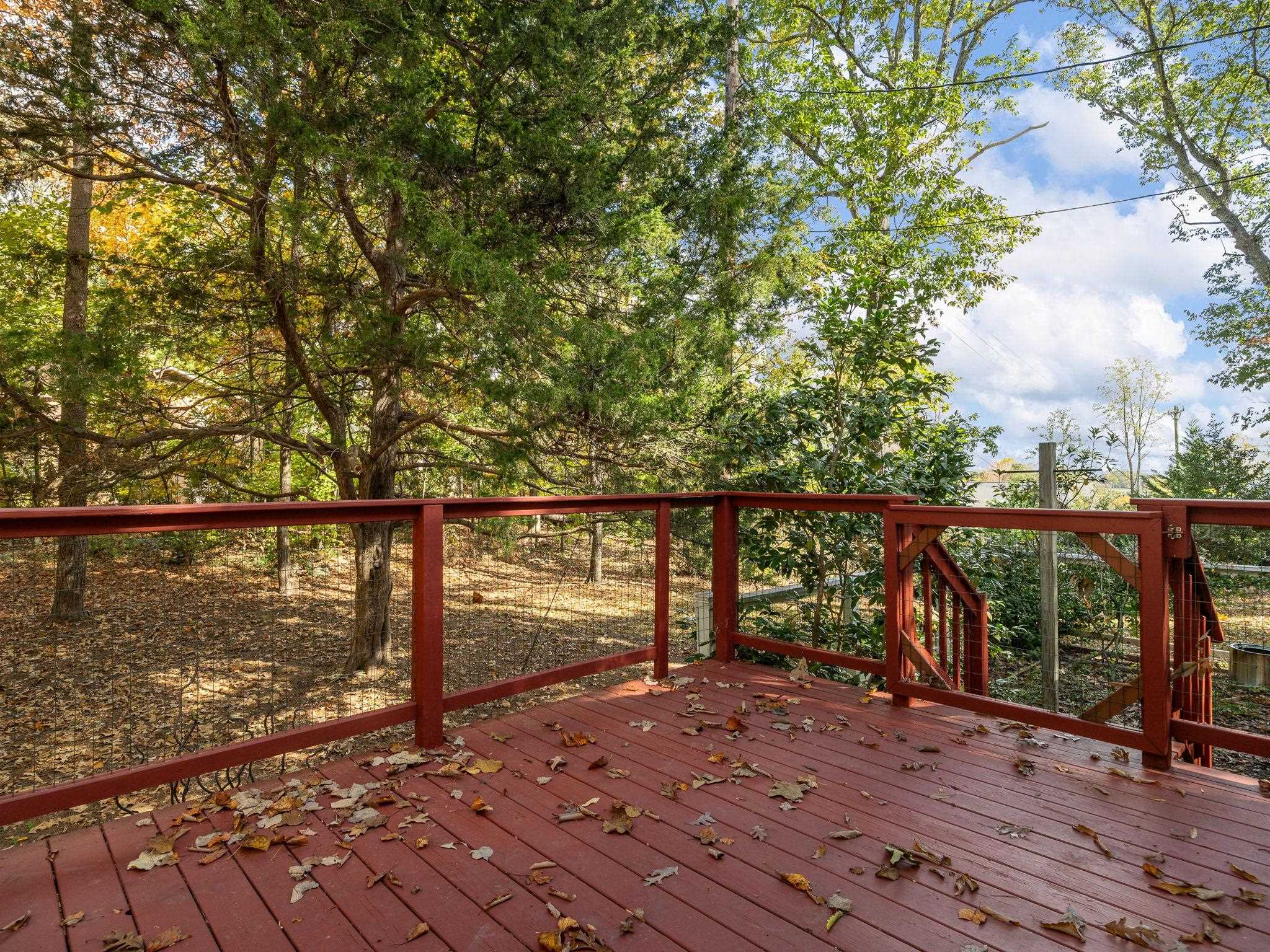 515 Forest Avenue, Landrum, South Carolina image 29