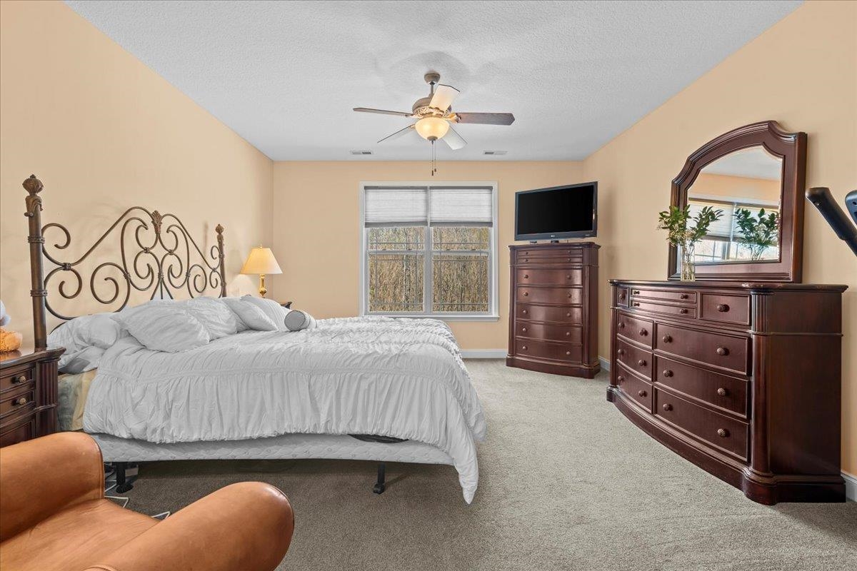 9 Crimson Glory Way, Travelers Rest, South Carolina image 19
