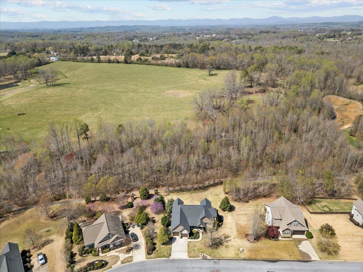 9 Crimson Glory Way, Travelers Rest, South Carolina image 35