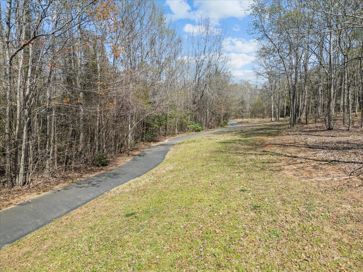9 Crimson Glory Way, Travelers Rest, South Carolina image 32