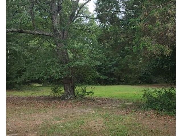 Lot 1 Beulah Street, Due West, South Carolina image 1