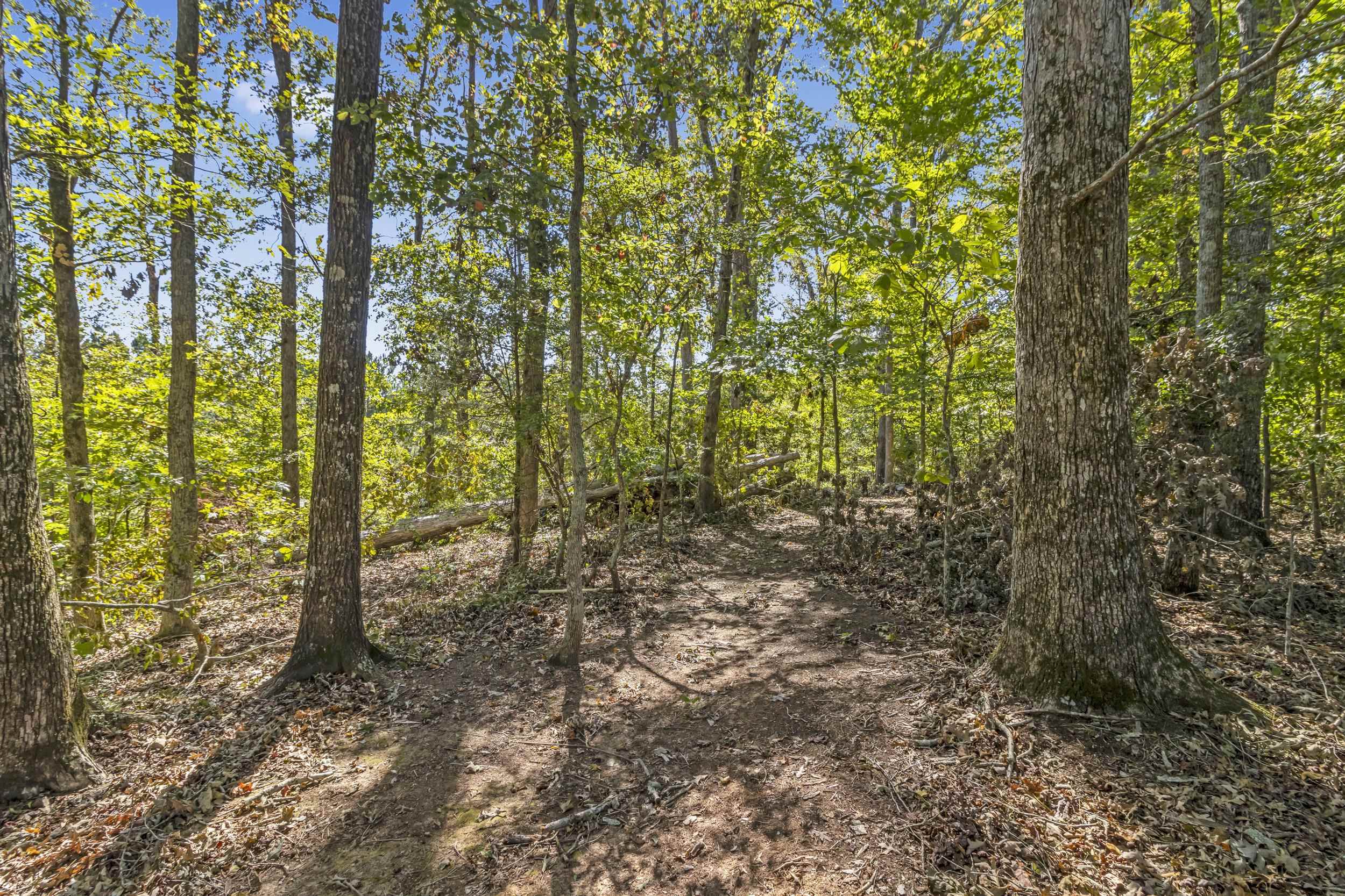 2608 Bolt Road, Gray Court, South Carolina image 39