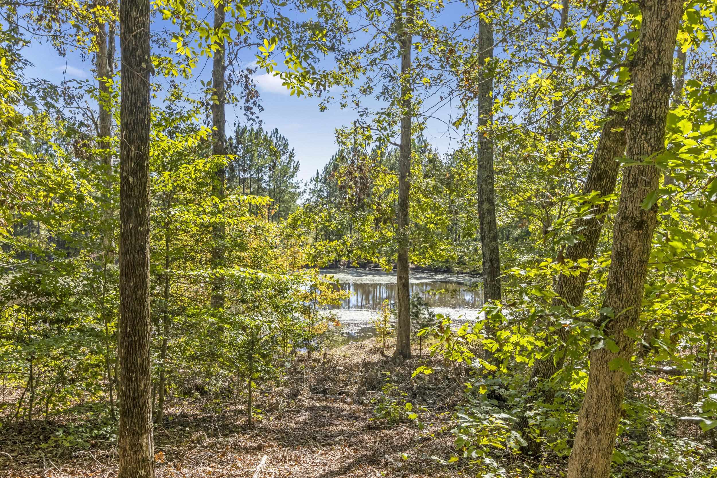 2608 Bolt Road, Gray Court, South Carolina image 41