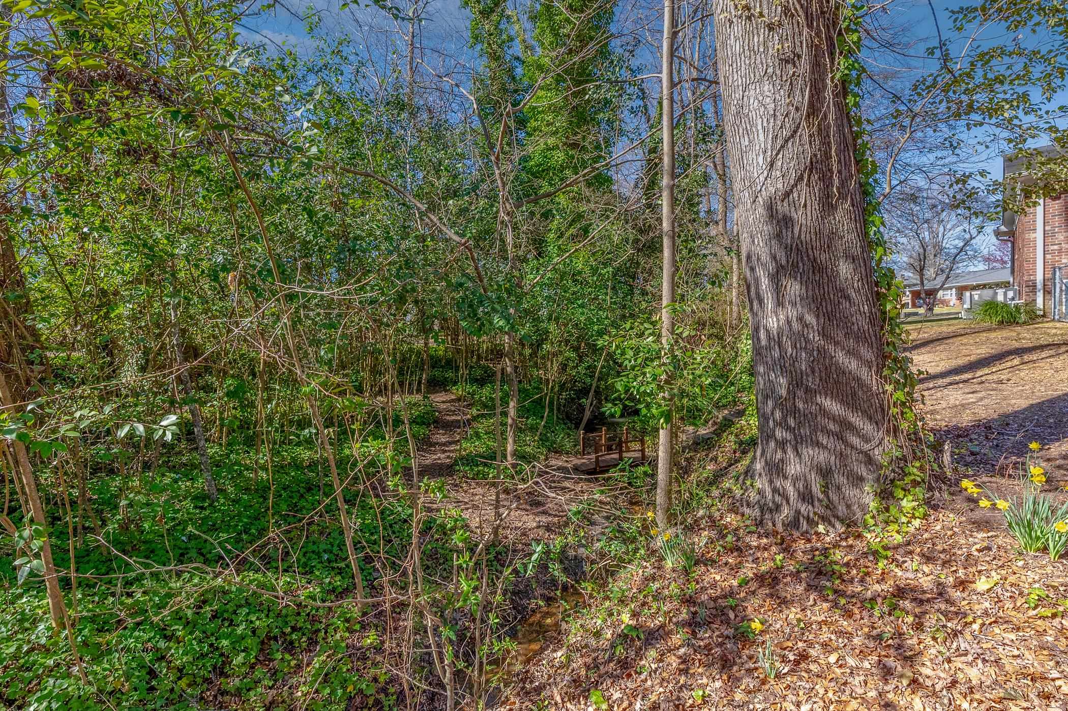 105 Moores Court, Simpsonville, South Carolina image 25
