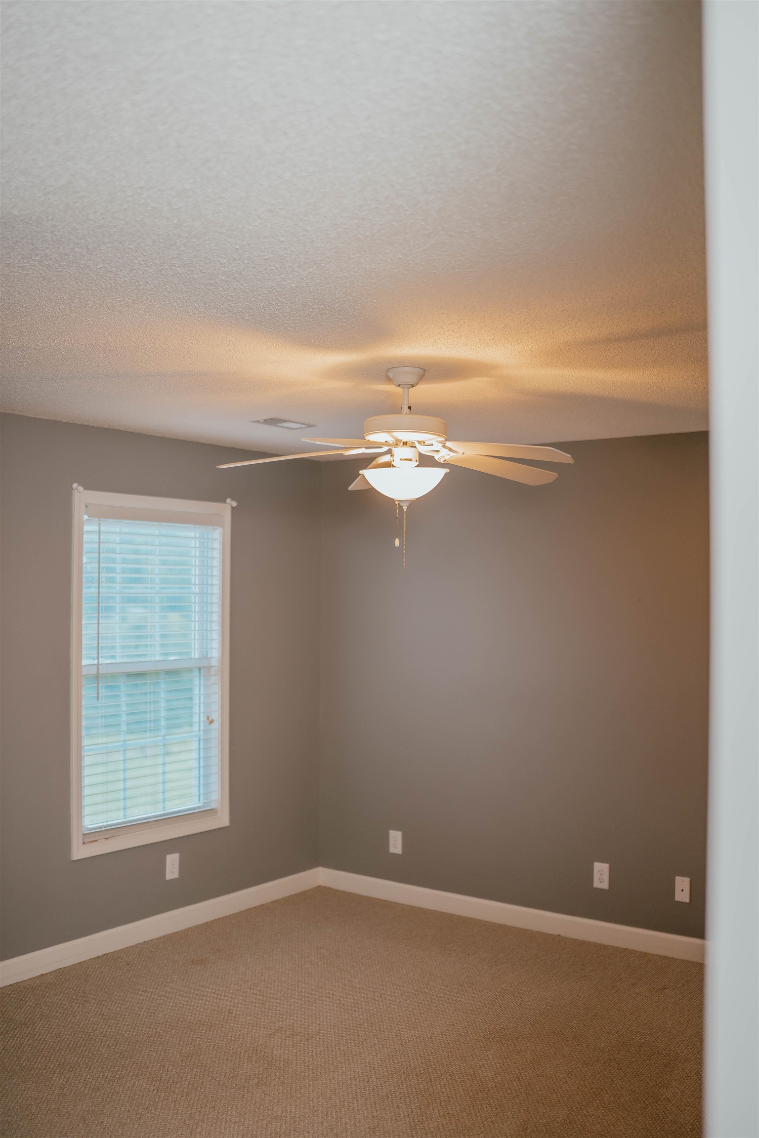 250 Fairview Farms Drive, Landrum, South Carolina image 31