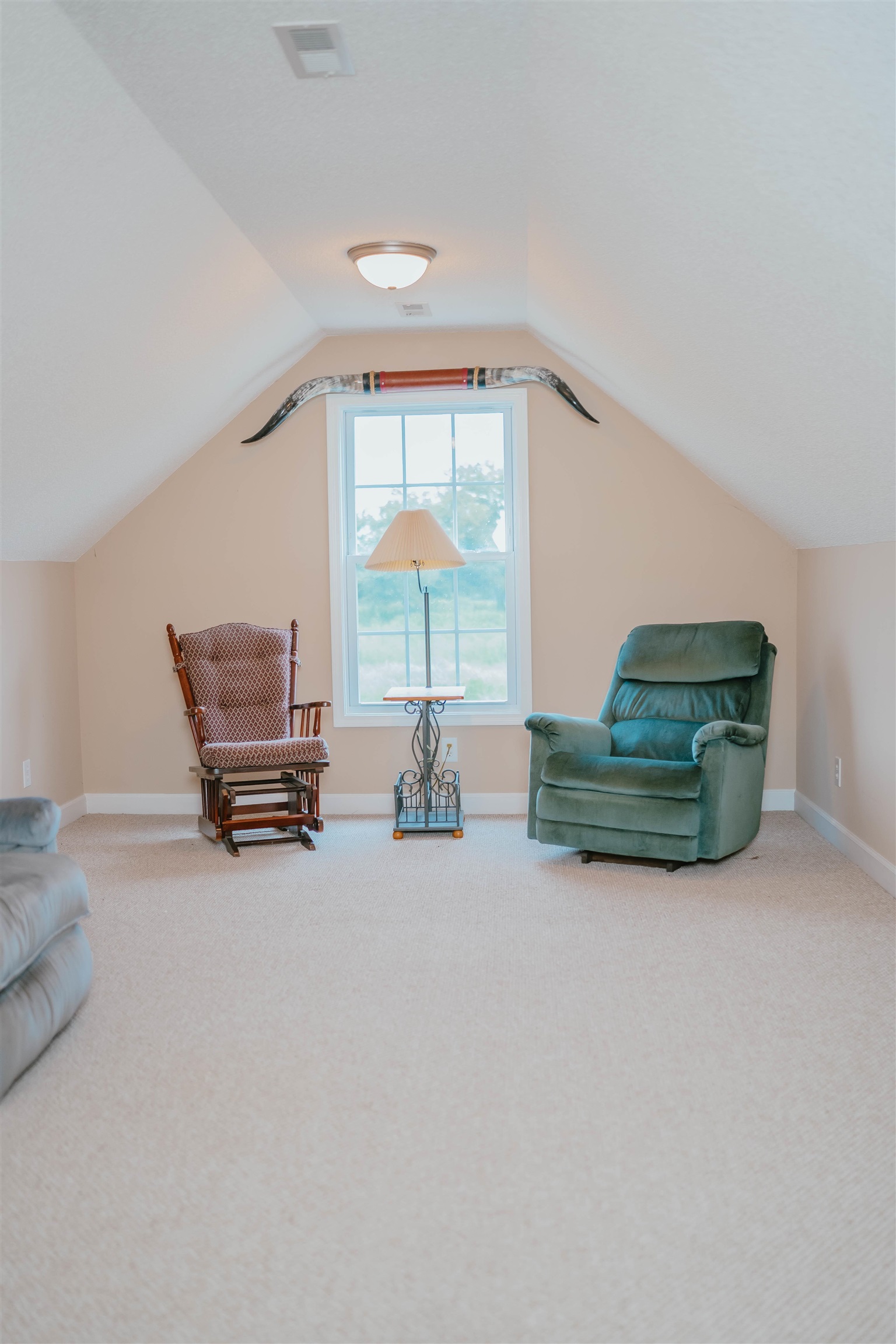 250 Fairview Farms Drive, Landrum, South Carolina image 34