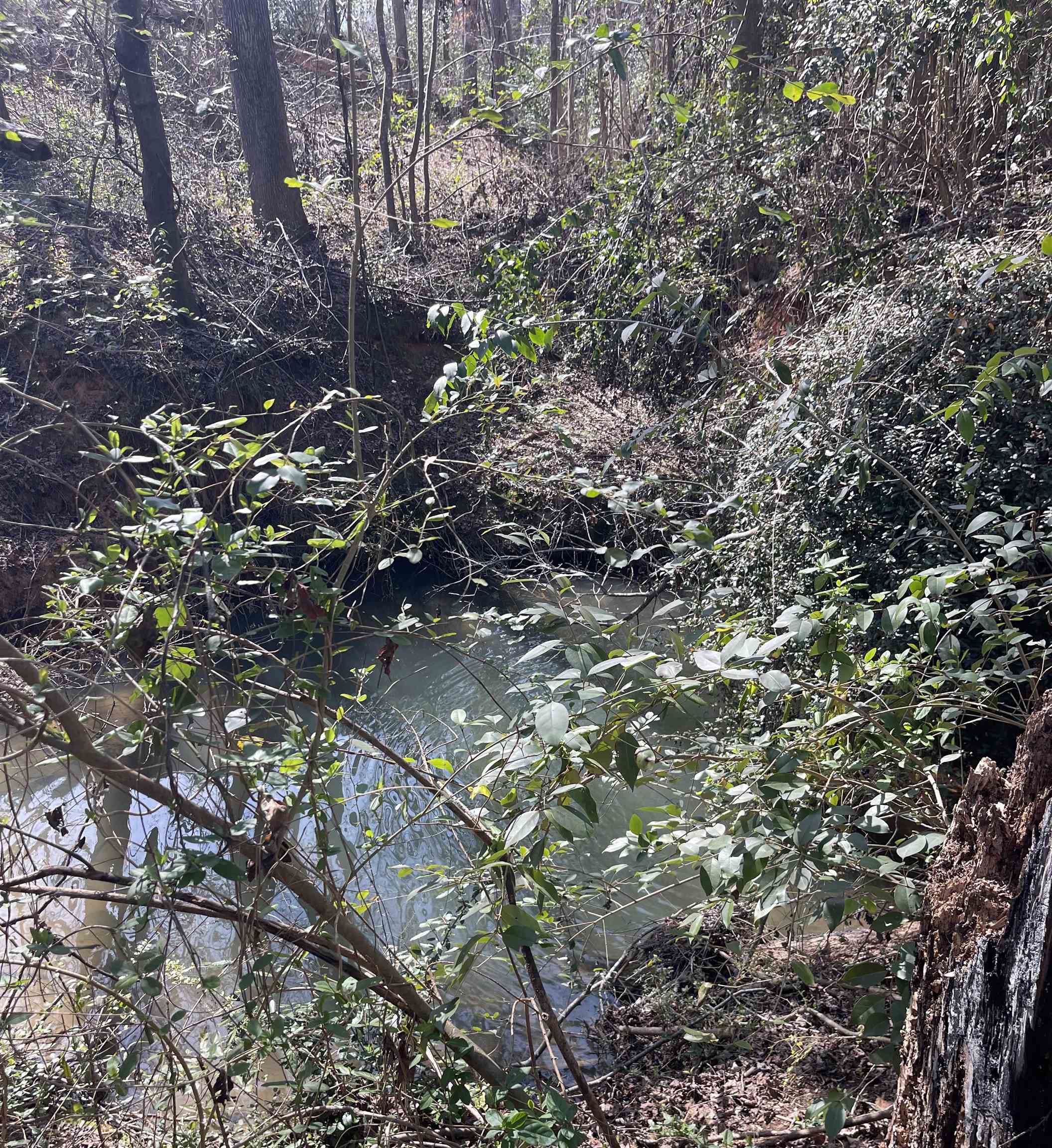 508 Jerusalem Lot 1 Road, Pacolet, South Carolina image 4