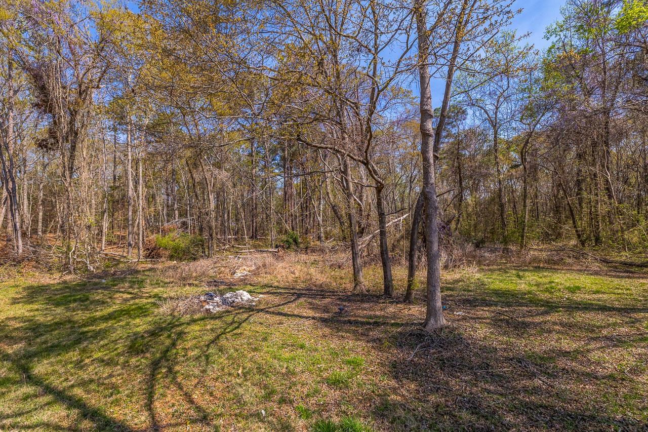 5209 215 Highway, Pauline, South Carolina image 42