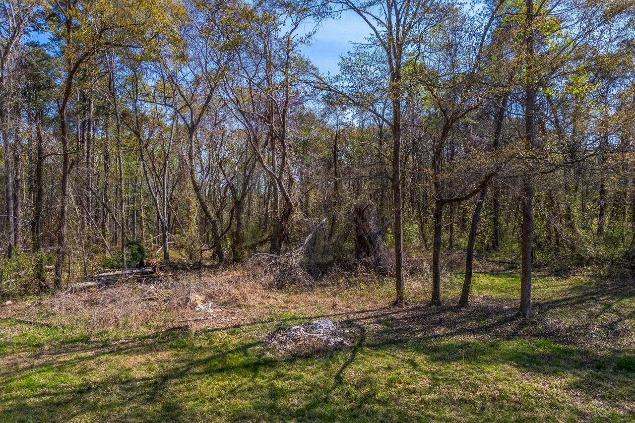 5209 215 Highway, Pauline, South Carolina image 43