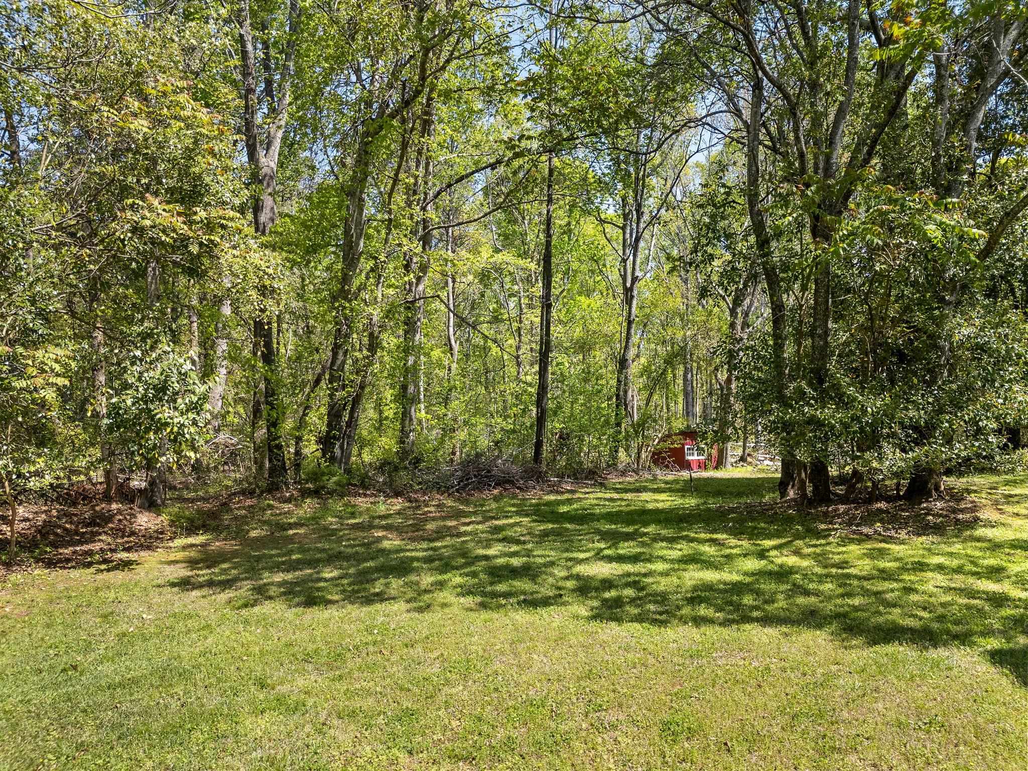 1245 Melvin Hill Road, Campobello, South Carolina image 40