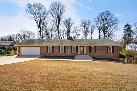 Homes For Sale - 113 Holly Road<br/> Taylors, SC 29687