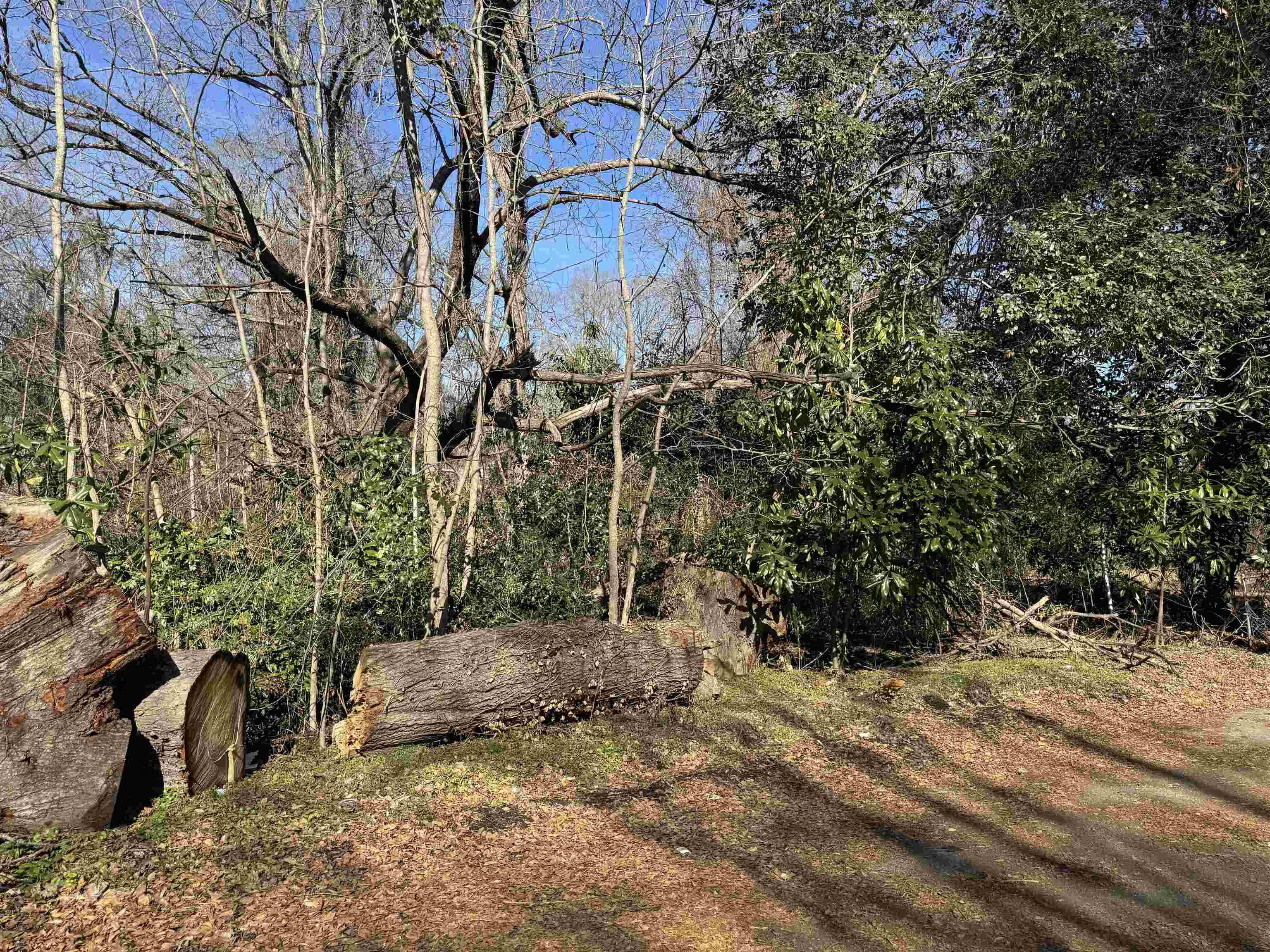 135 Phillips Avenue, Woodruff, South Carolina image 4