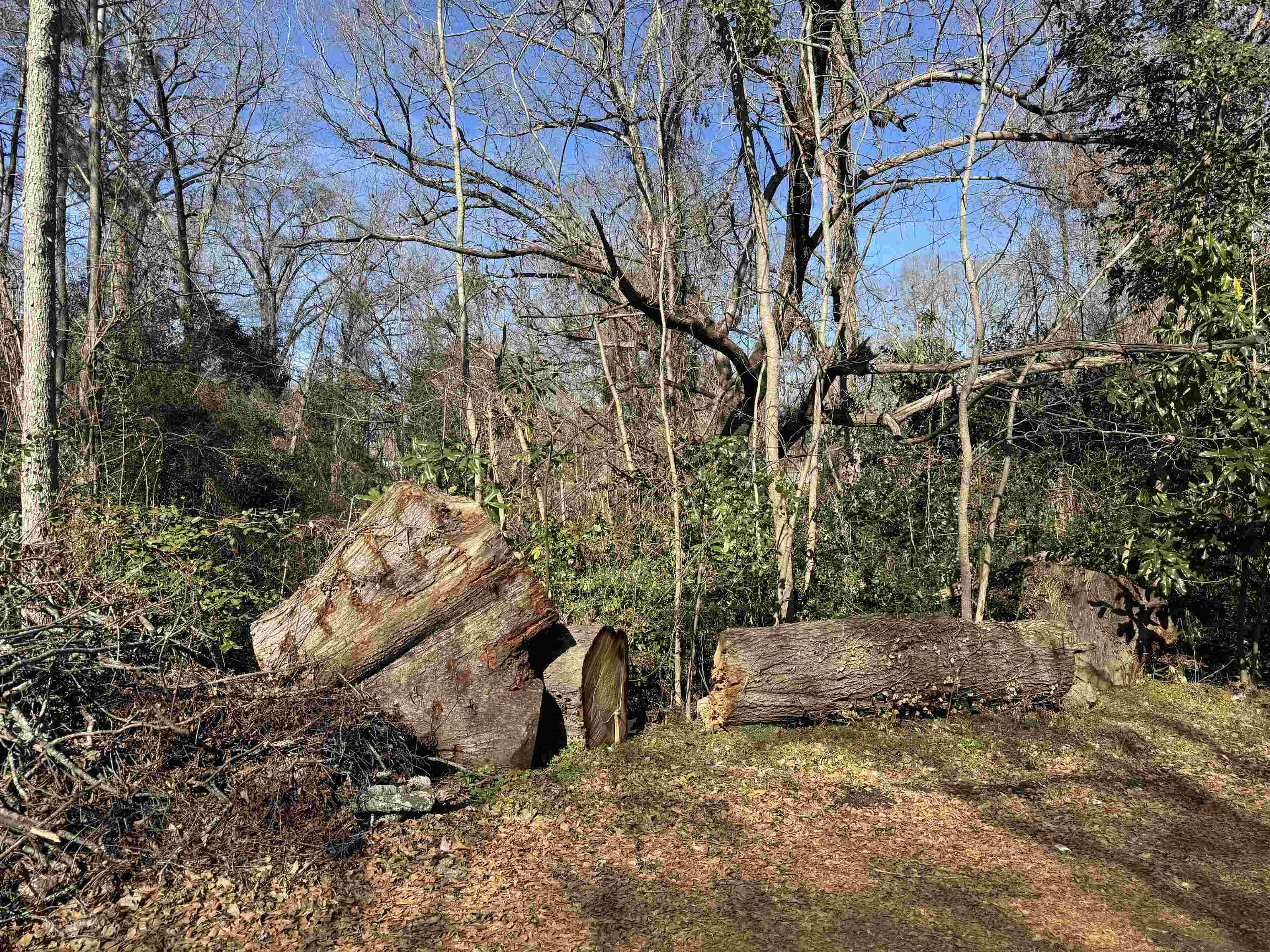 135 Phillips Avenue, Woodruff, South Carolina image 1