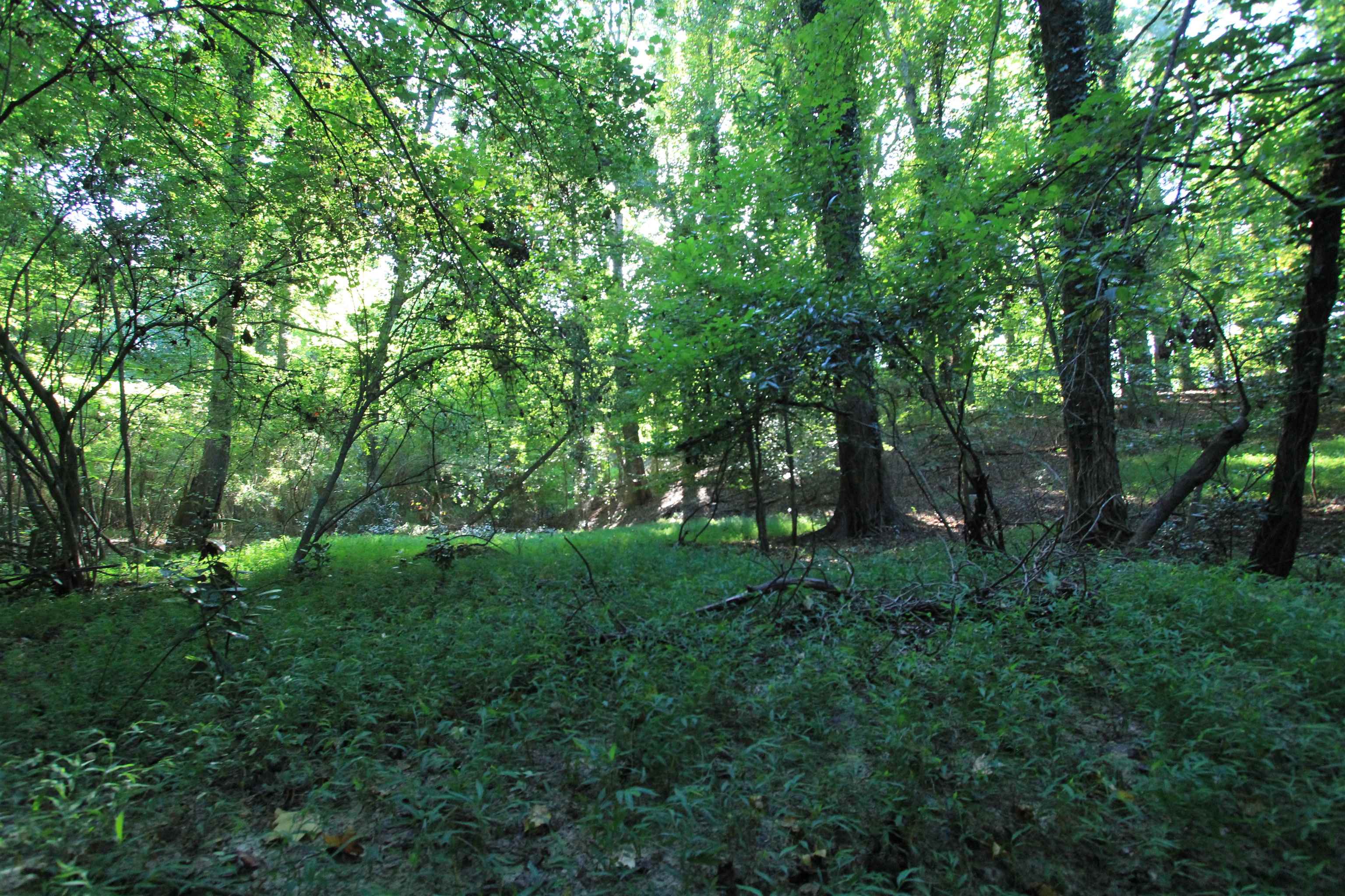 E Hayne Street, Woodruff, South Carolina image 3
