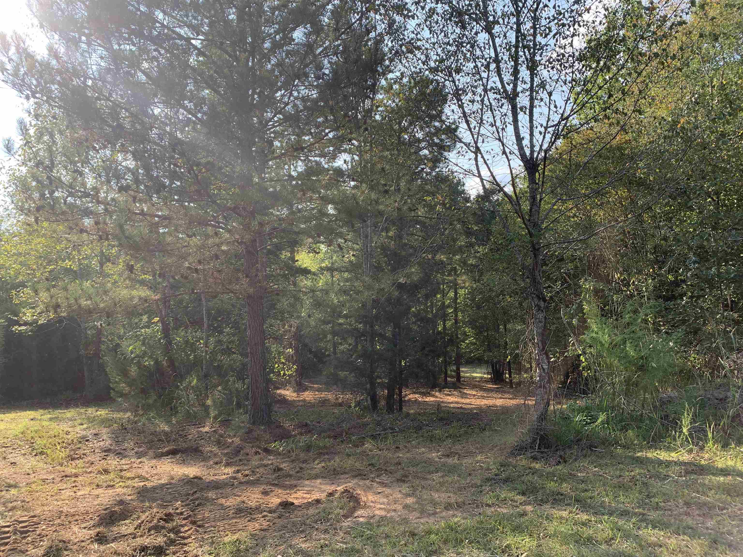 00 White Plains Road, GAFFNEY, South Carolina image 3