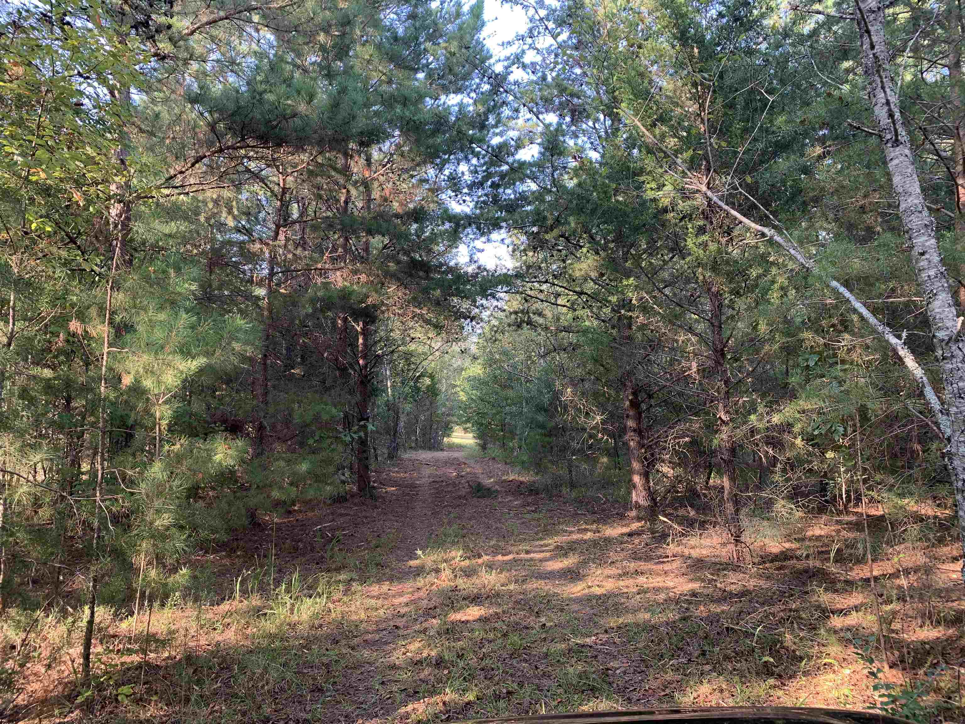 00 White Plains Road, GAFFNEY, South Carolina image 5