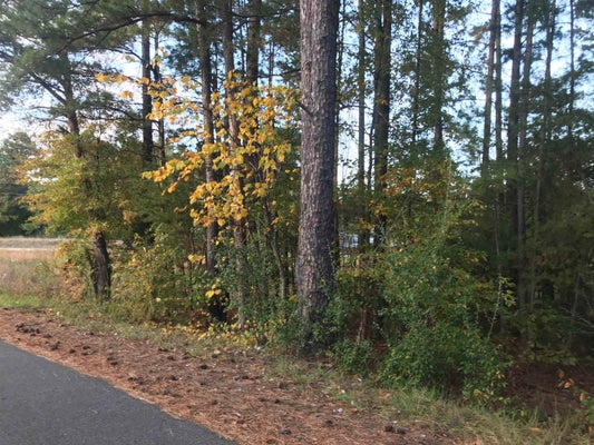 00 CRENSHAW ROAD, COWPENS, SC 29330 - Image d87d8a00fd4a2f371ec11abc602bee80/1184127215