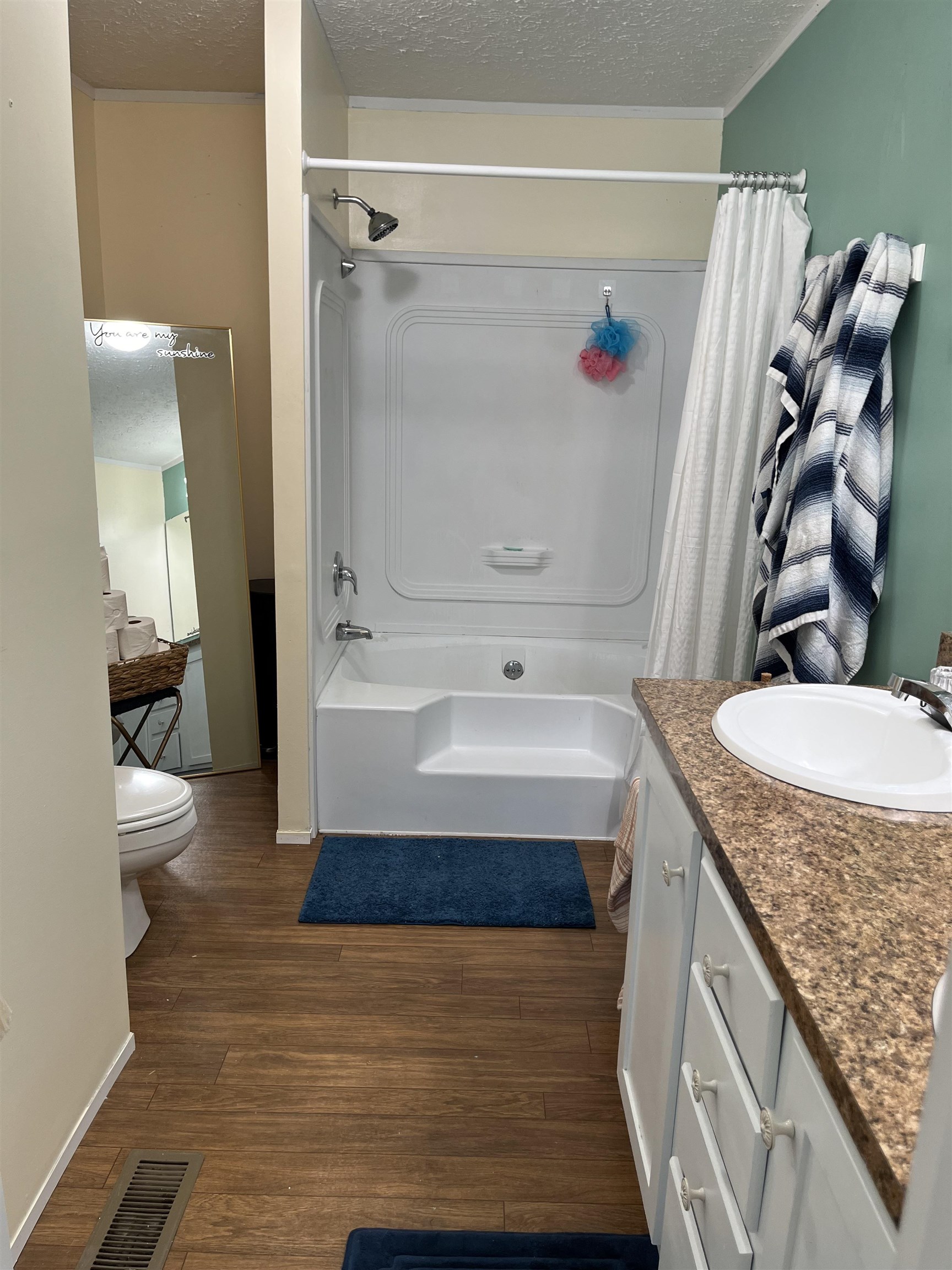 302 Sagewood Court, Fountain Inn, South Carolina image 13