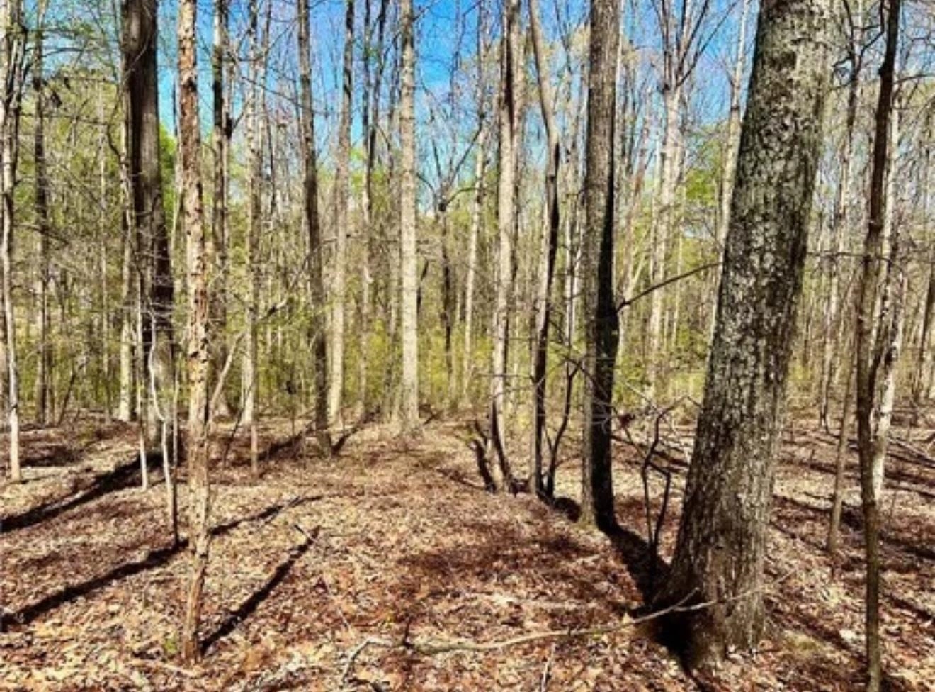 Garrett Dr, Laurens, South Carolina image 2