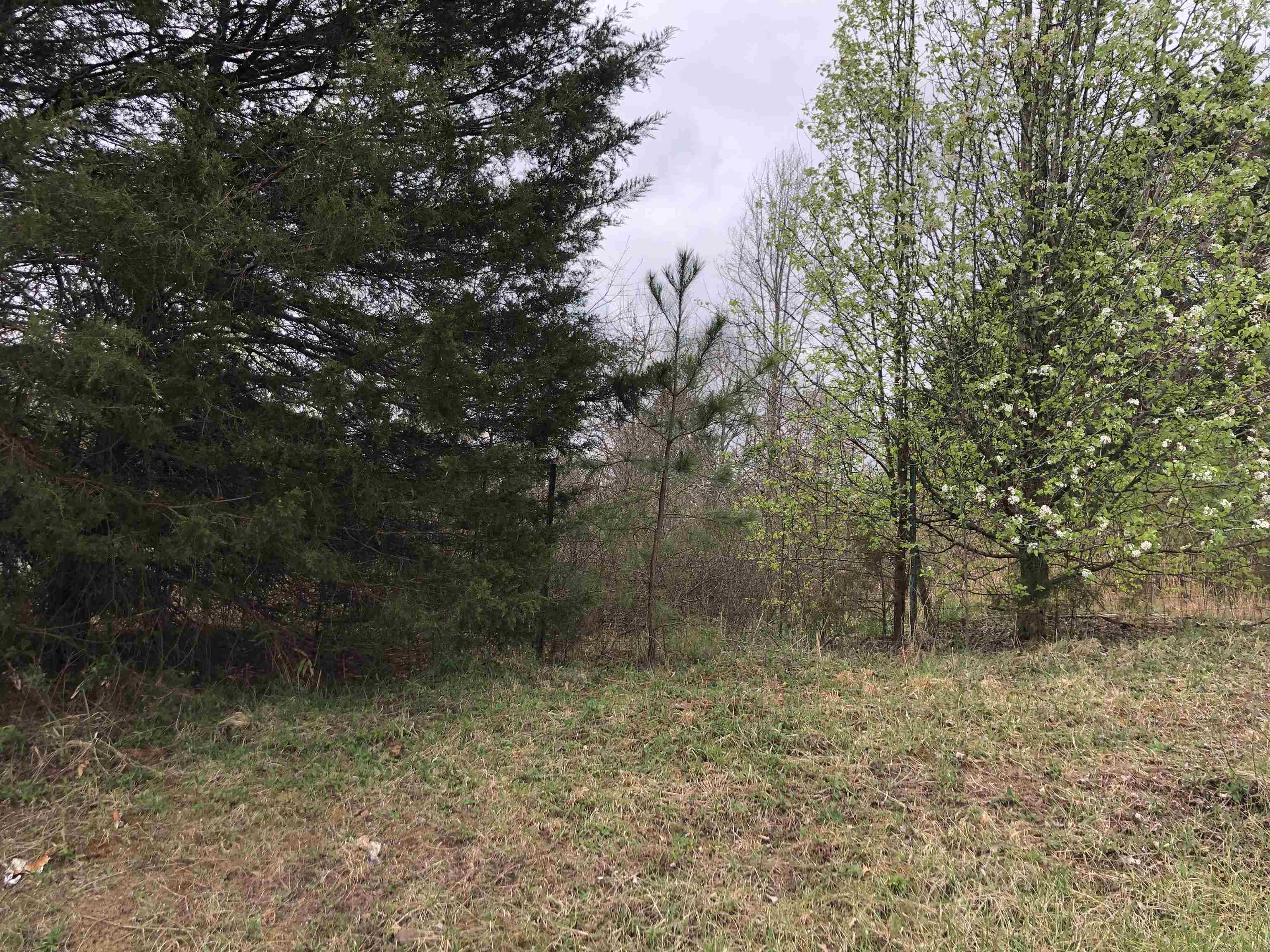 Lot 12 Jamyn Court, Cowpens, South Carolina image 1