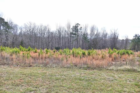 Vacant Land For Sale - 641 Pacolet Hwy Hwy<br/> Gaffney, SC 29340