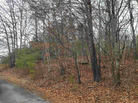 Vacant Land For Sale - 00 Campbell Covered Bridge Road<br/> Landrum, SC 29356