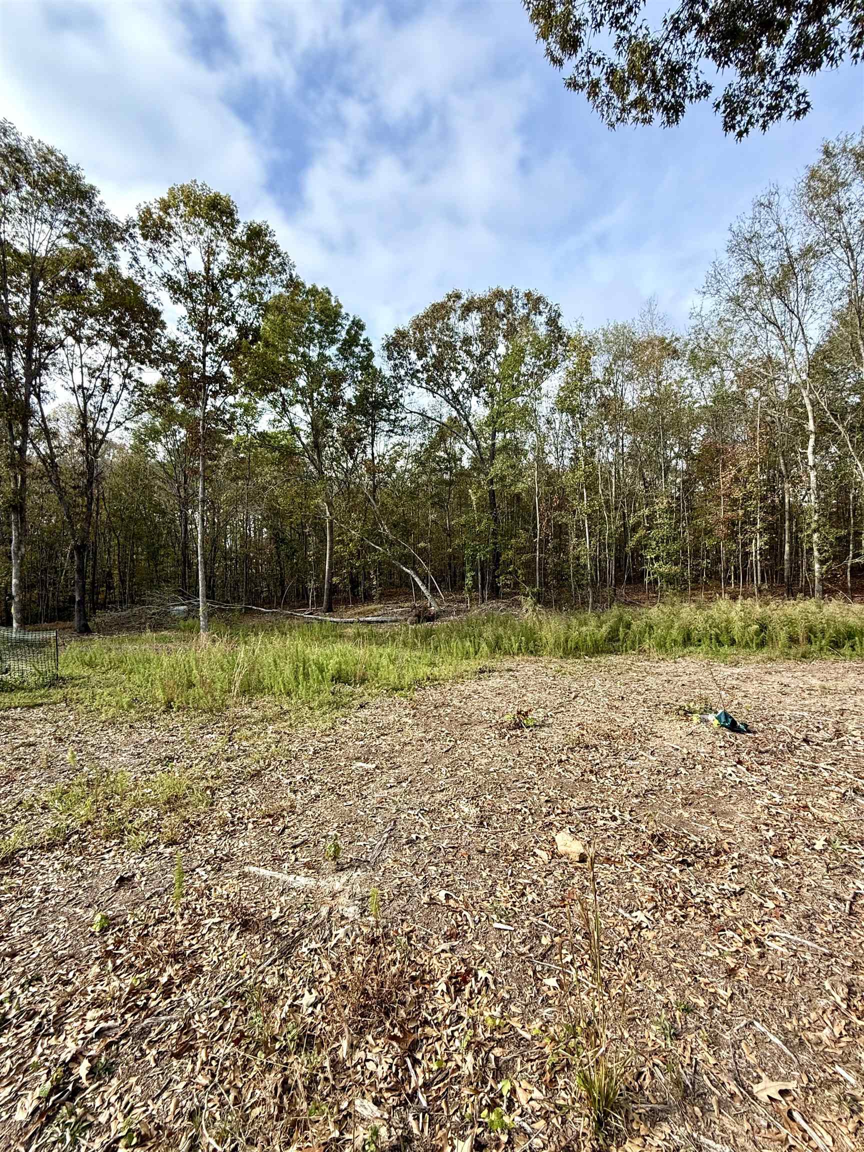 Santee Street, Cowpens, South Carolina image 10