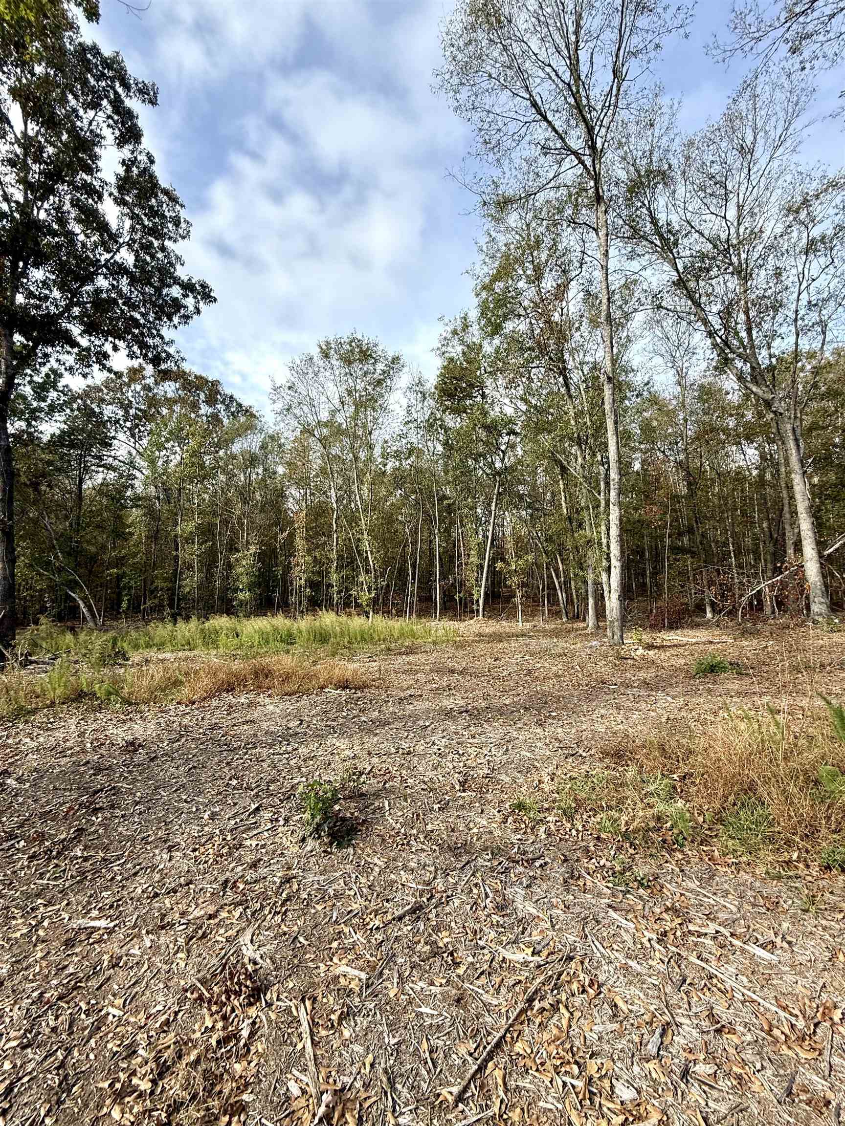 Santee Street, Cowpens, South Carolina image 9