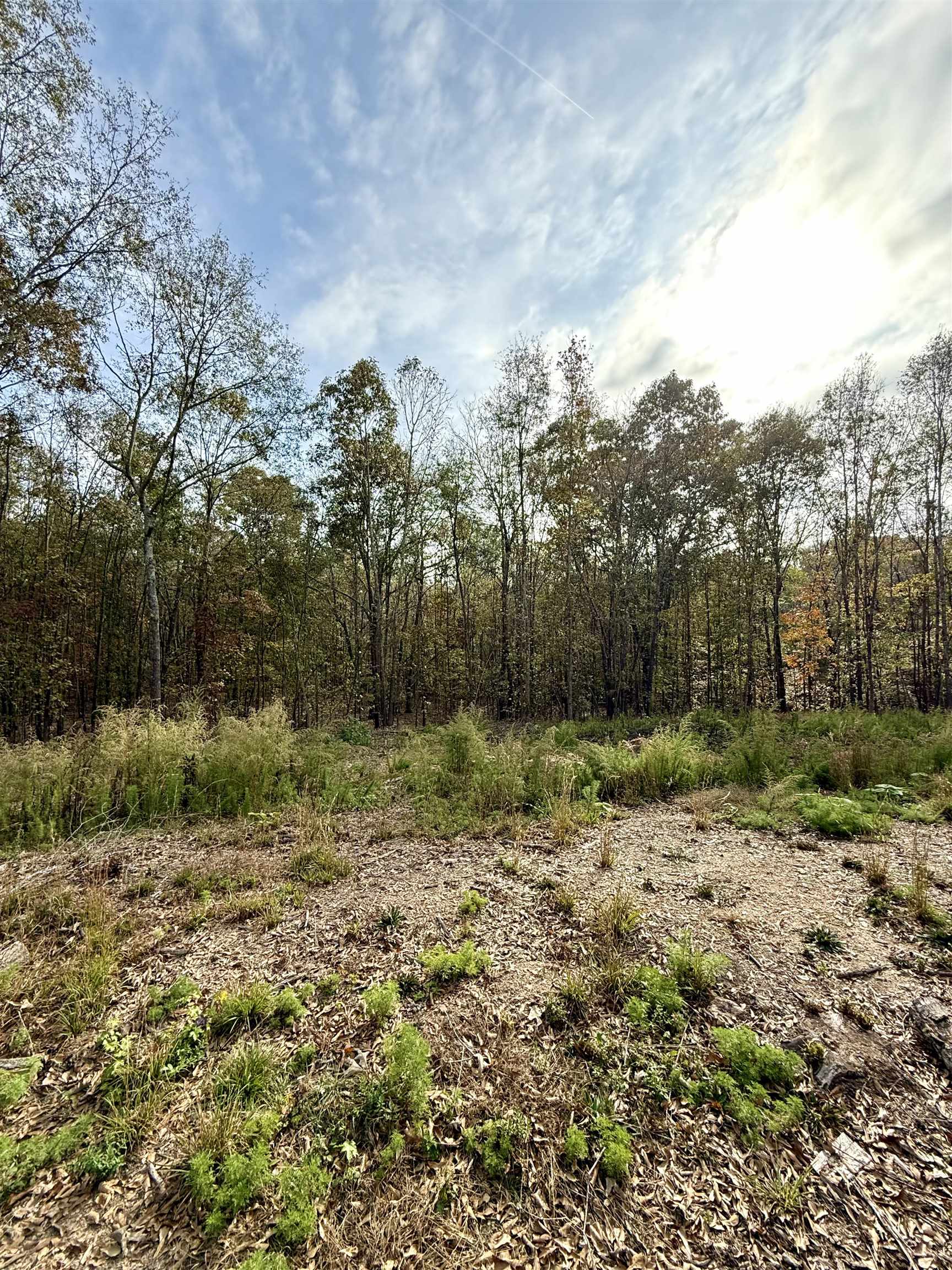 Santee Street, Cowpens, South Carolina image 11