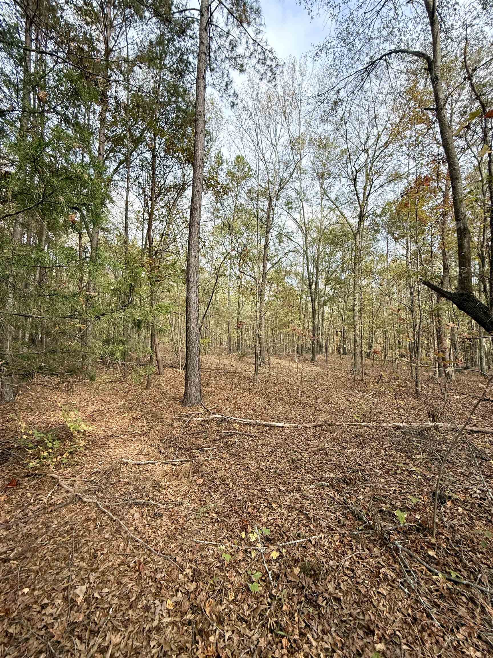 Santee Street, Cowpens, South Carolina image 16