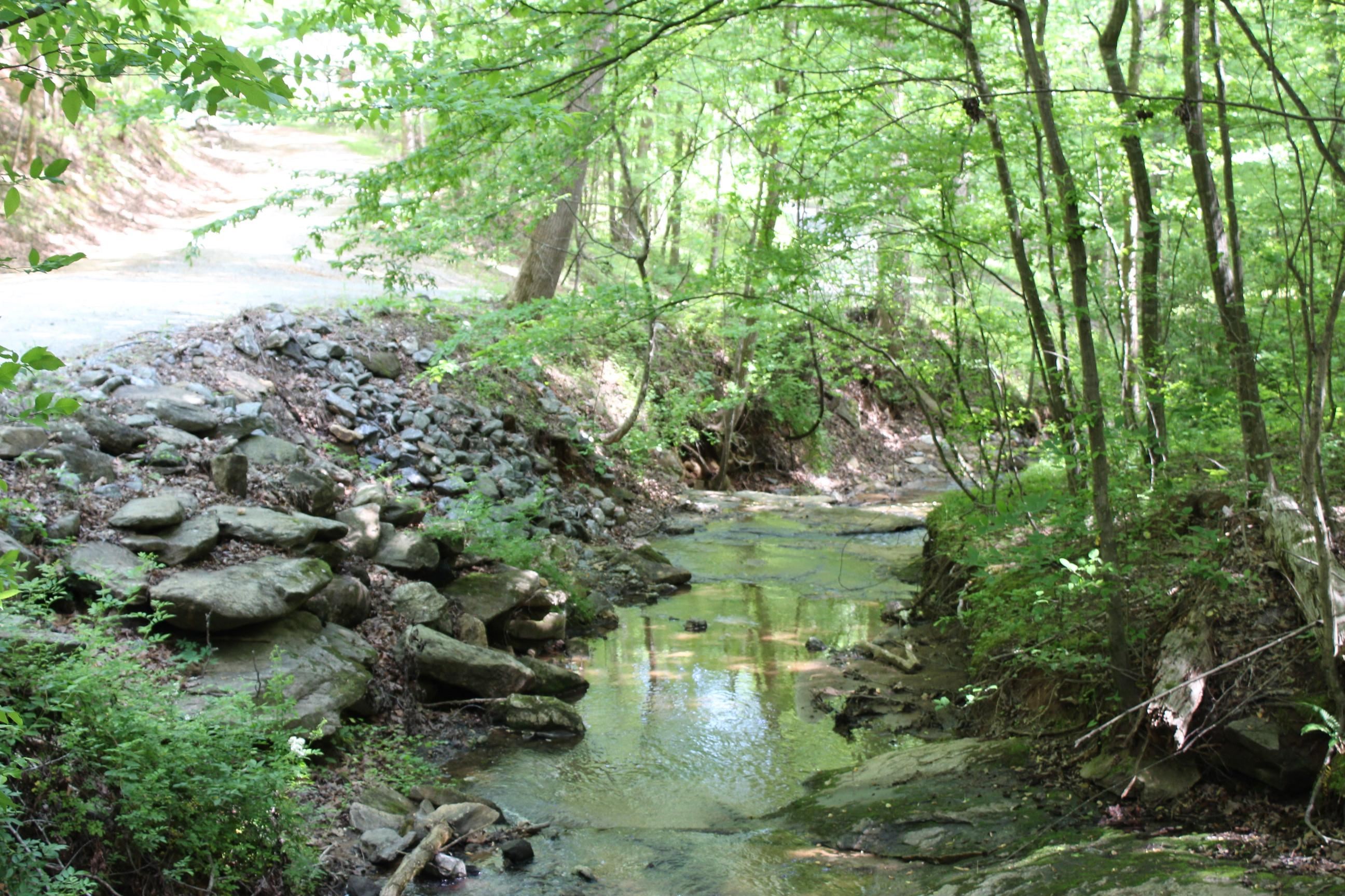 235 Keller Creek Road, Columbus, North Carolina image 12