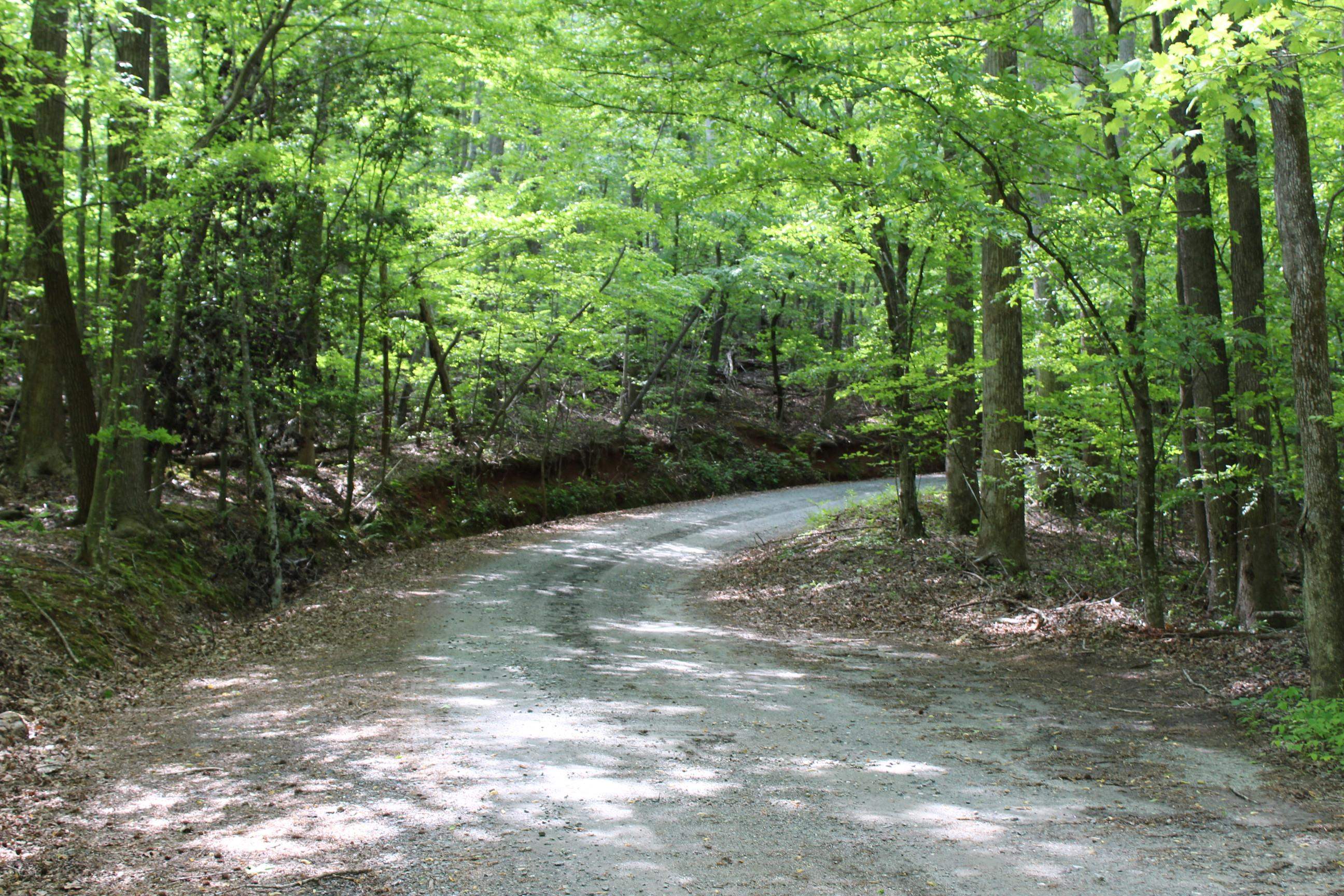 235 Keller Creek Road, Columbus, North Carolina image 11