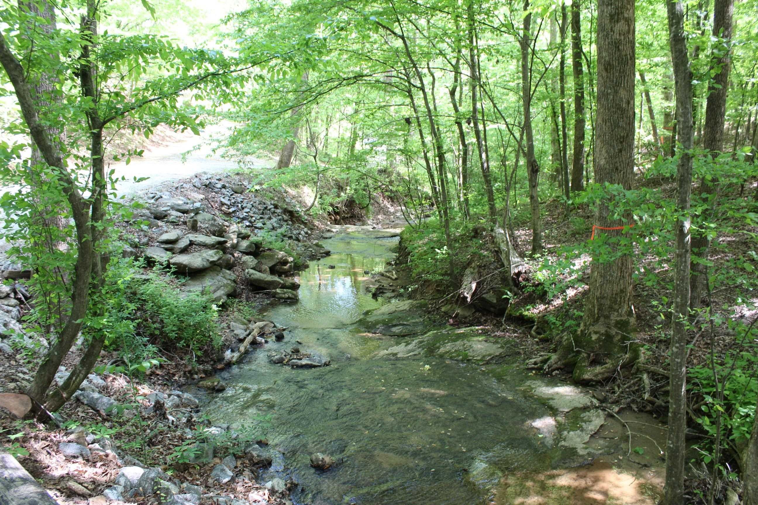235 Keller Creek Road, Columbus, North Carolina image 13