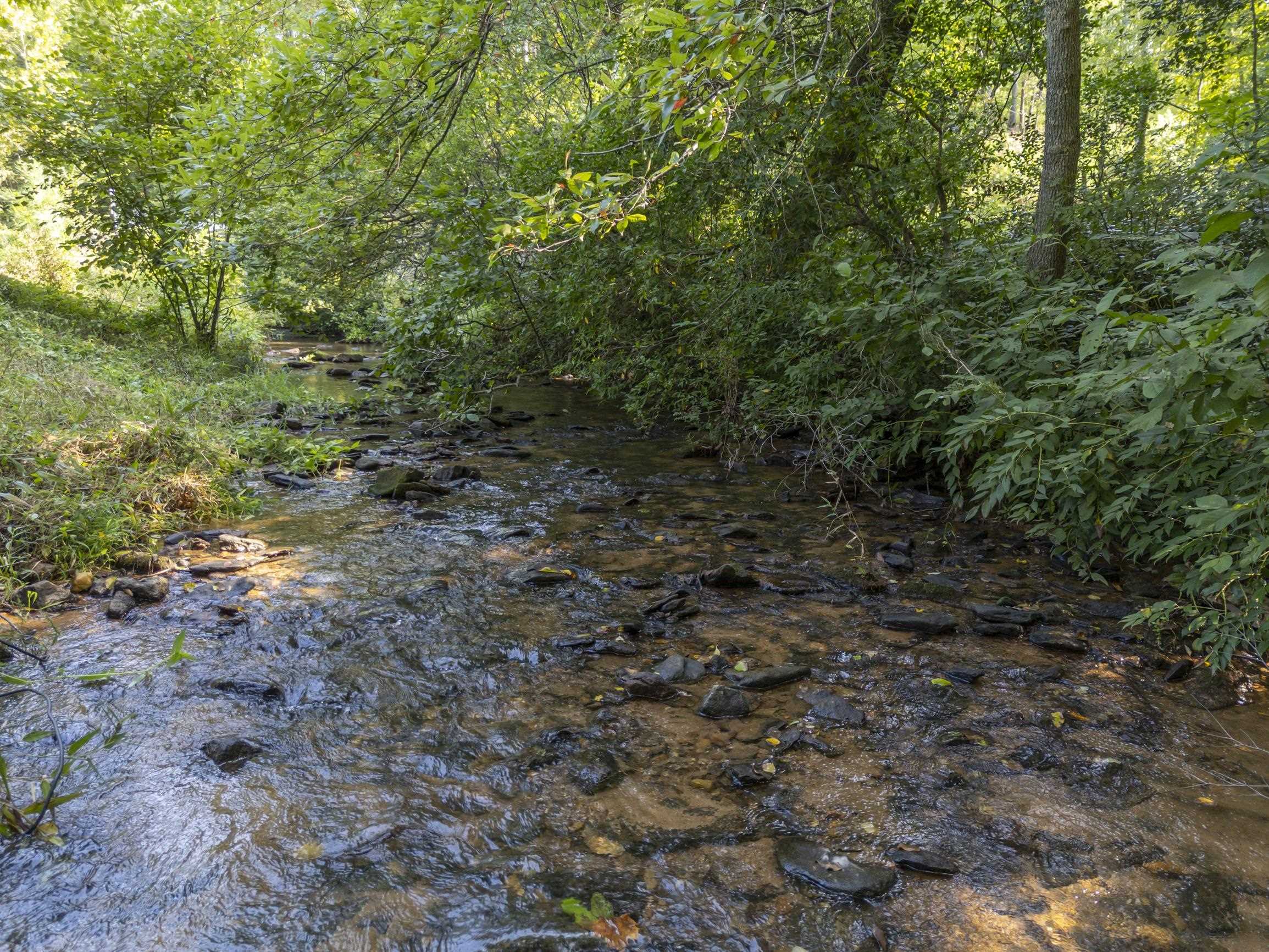 249 Hester Mill Road, Rutherfordton, North Carolina image 34