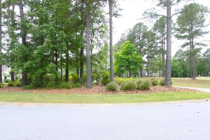 606 Grand Harbor Boulevard, Ninety Six, South Carolina image 12