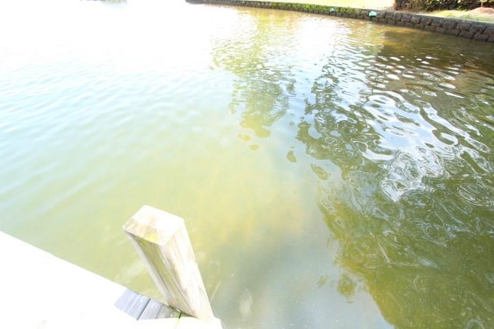 606 Grand Harbor Boulevard, Ninety Six, South Carolina image 7