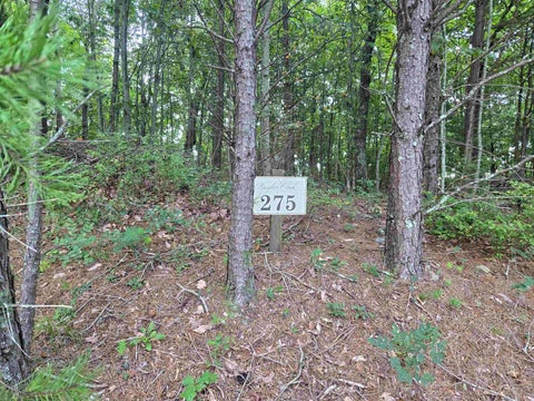 Vacant Land For Sale - 275 Kincaid Place<br/> Mill Spring, NC 28756