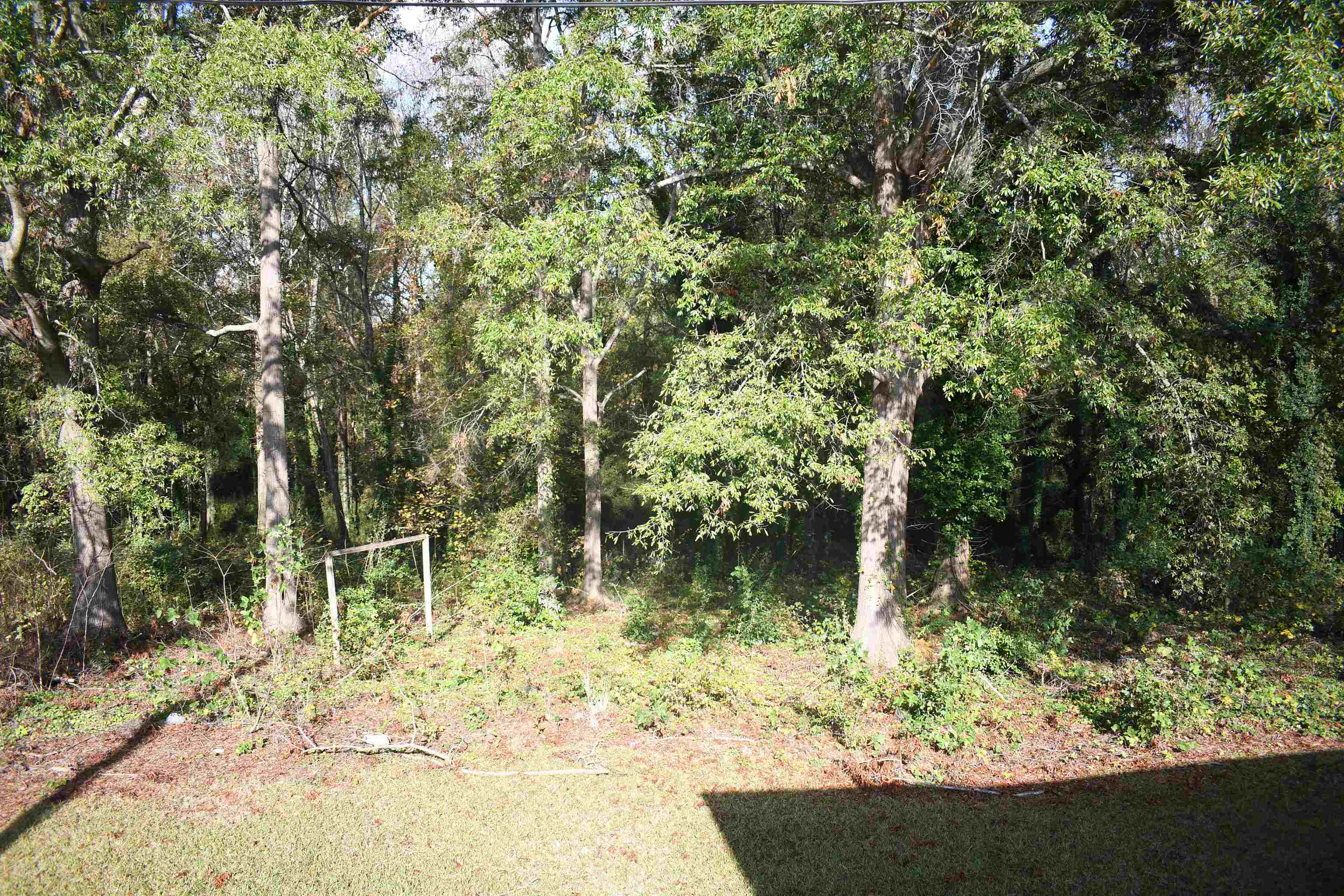 205 Serene Drive, Gaffney, South Carolina image 15