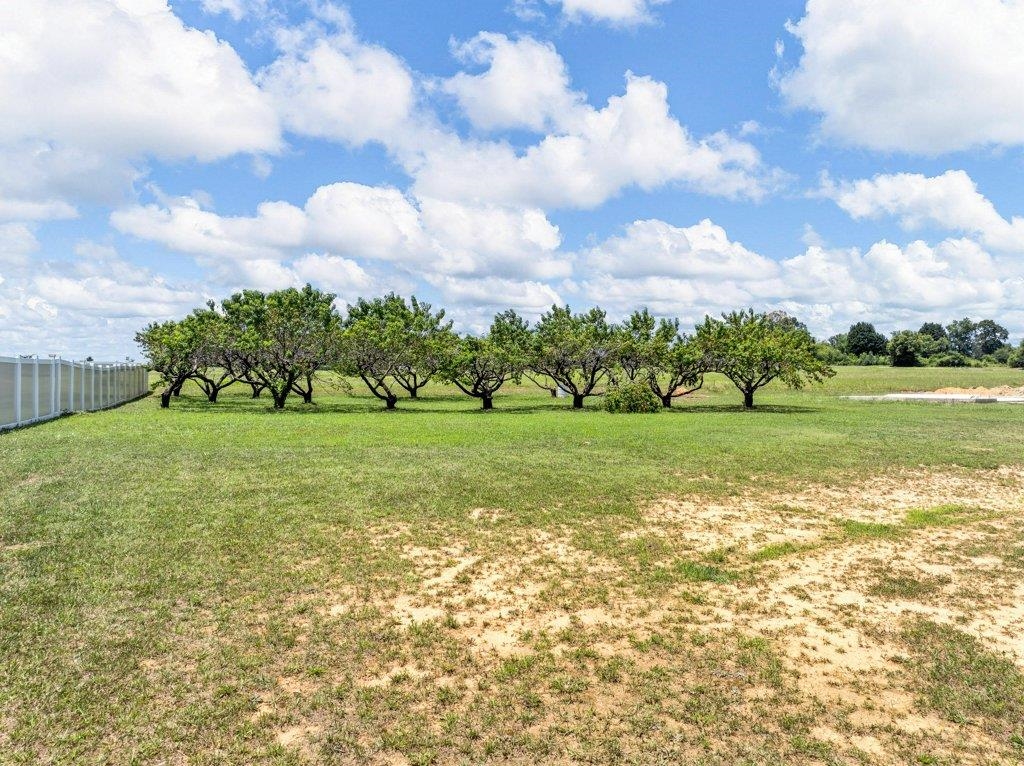 1969 Goodjoin Road, Campobello, South Carolina image 42