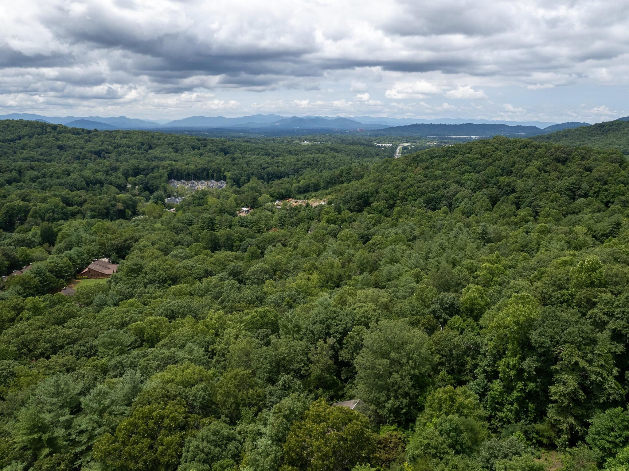 9 Azalea Terrace, Asheville, North Carolina image 48