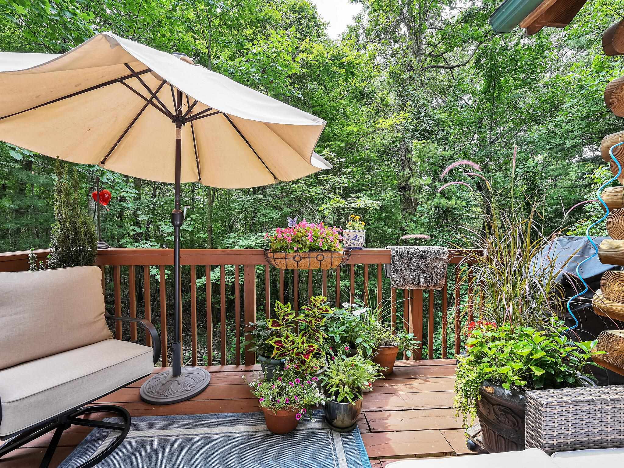 9 Azalea Terrace, Asheville, North Carolina image 18