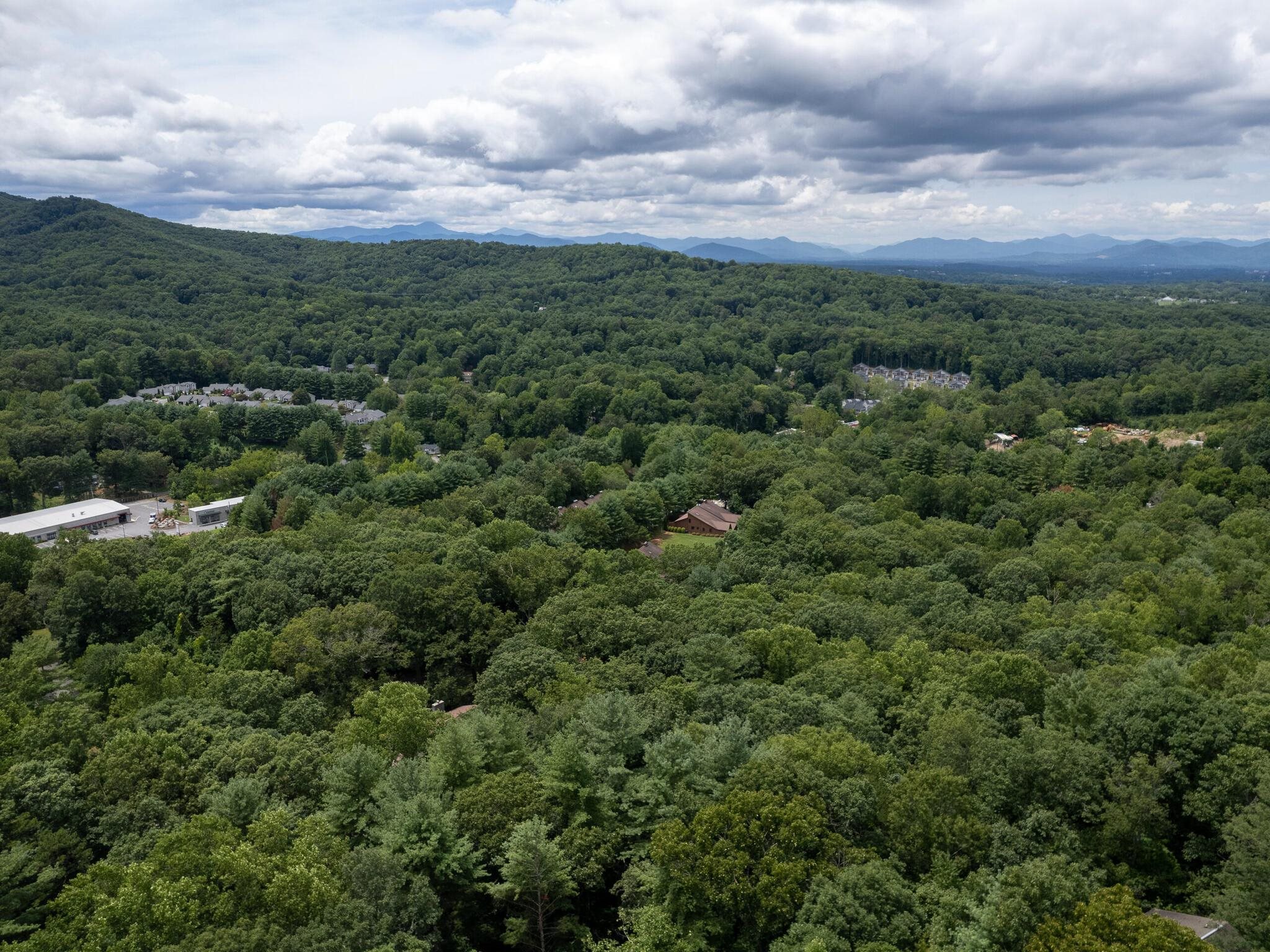 9 Azalea Terrace, Asheville, North Carolina image 47