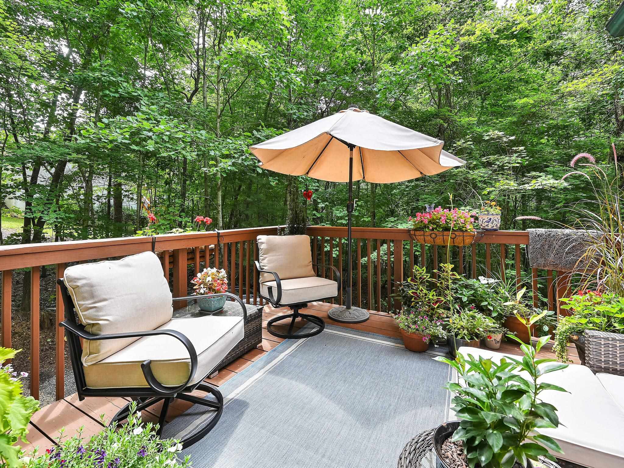 9 Azalea Terrace, Asheville, North Carolina image 16