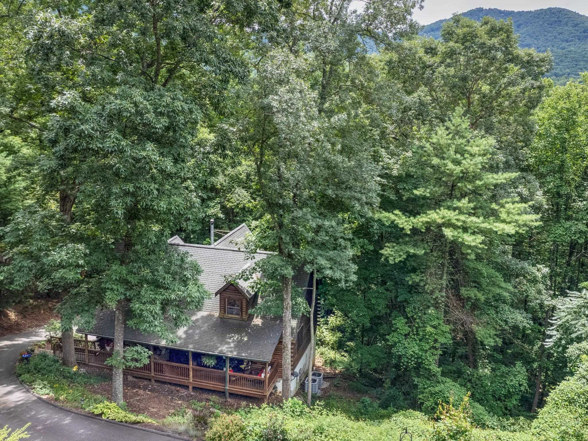 9 Azalea Terrace, Asheville, North Carolina image 49
