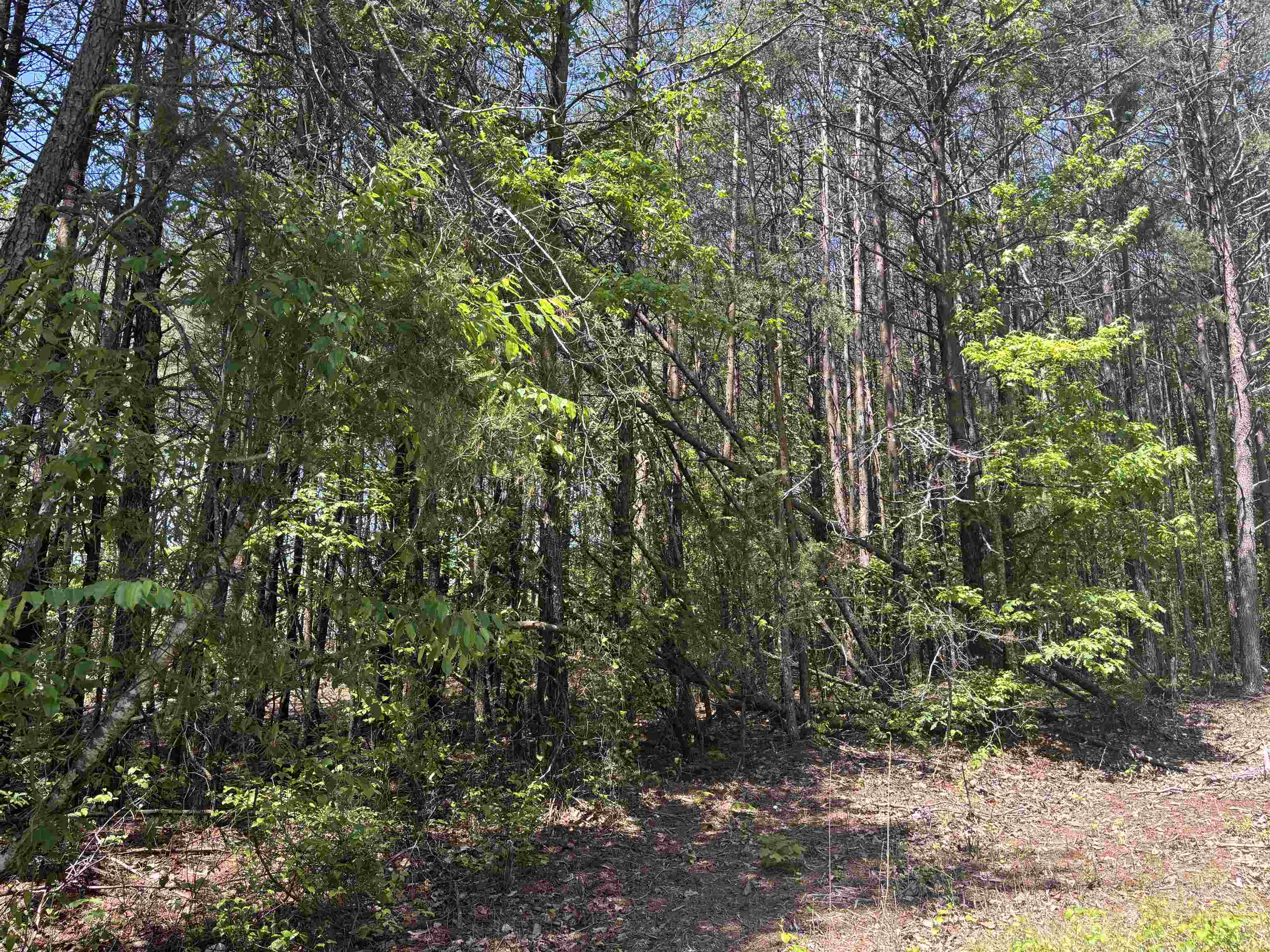 1940 Pleasant Hill Rd.  Lot 3-b Rd, Greer, South Carolina image 11