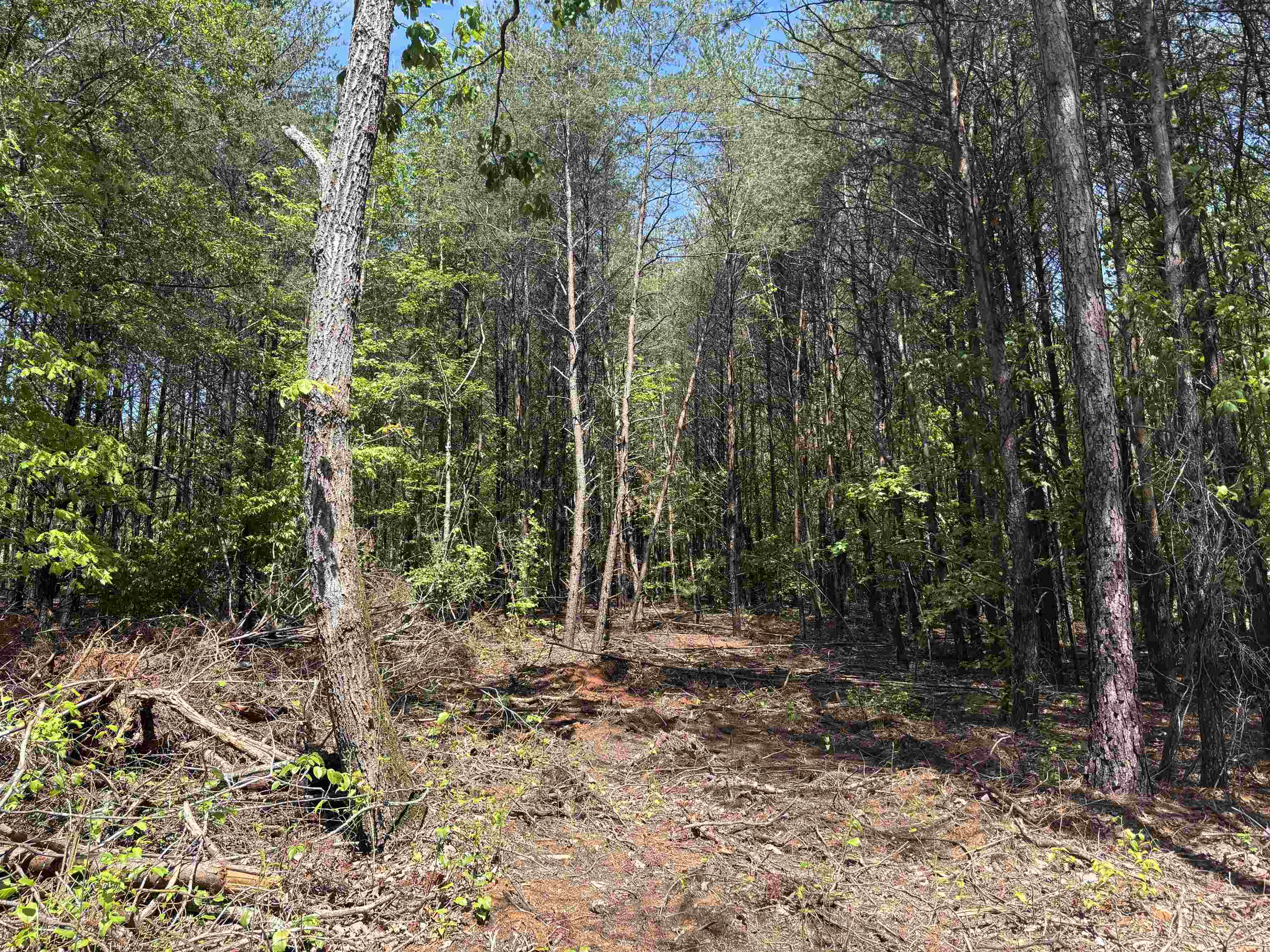 1940 Pleasant Hill Rd.  Lot 3-b Rd, Greer, South Carolina image 12