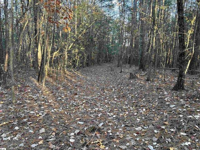 1940 Pleasant Hill Rd.  Lot 3-b Rd, Greer, South Carolina image 19