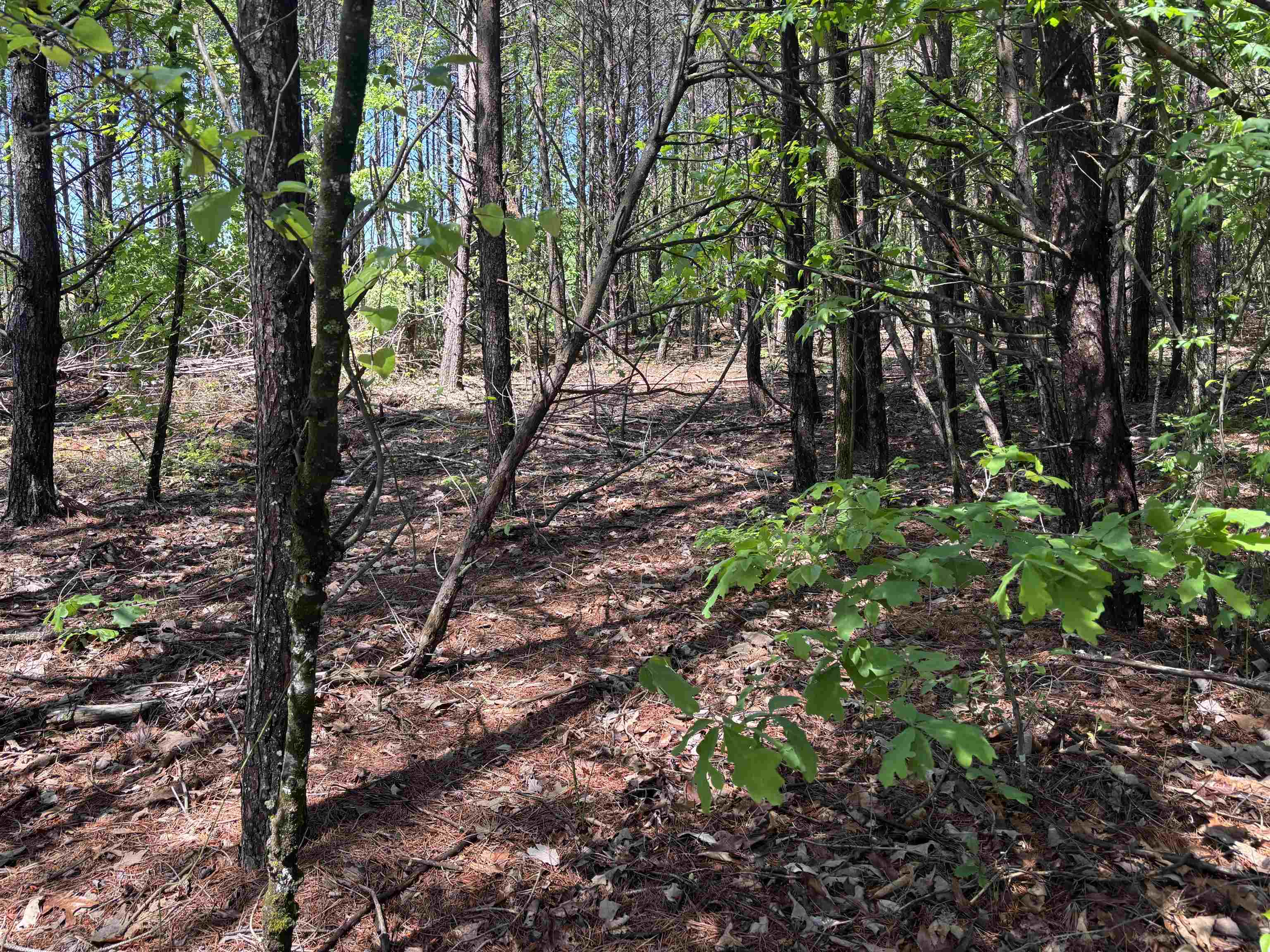 1940 Pleasant Hill Rd.  Lot 3-b Rd, Greer, South Carolina image 10