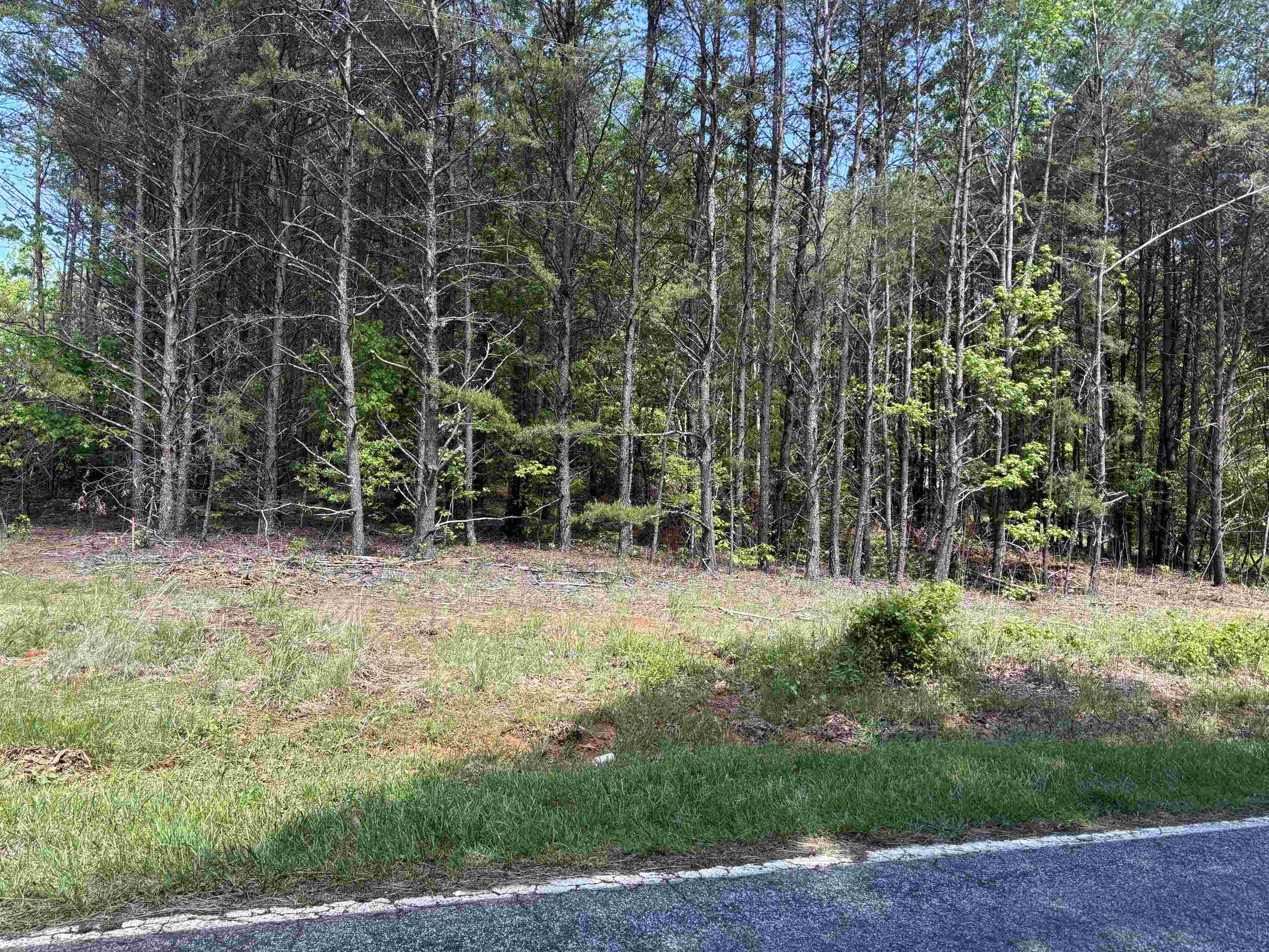 1940 Pleasant Hill Rd.  Lot 3-b Rd, Greer, South Carolina image 15